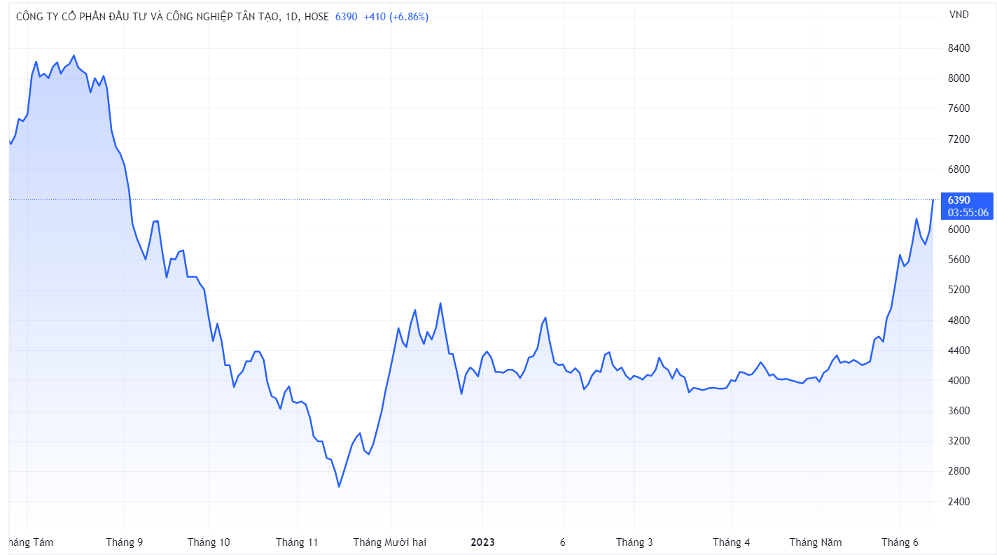 dang thi hoang yen anh 1