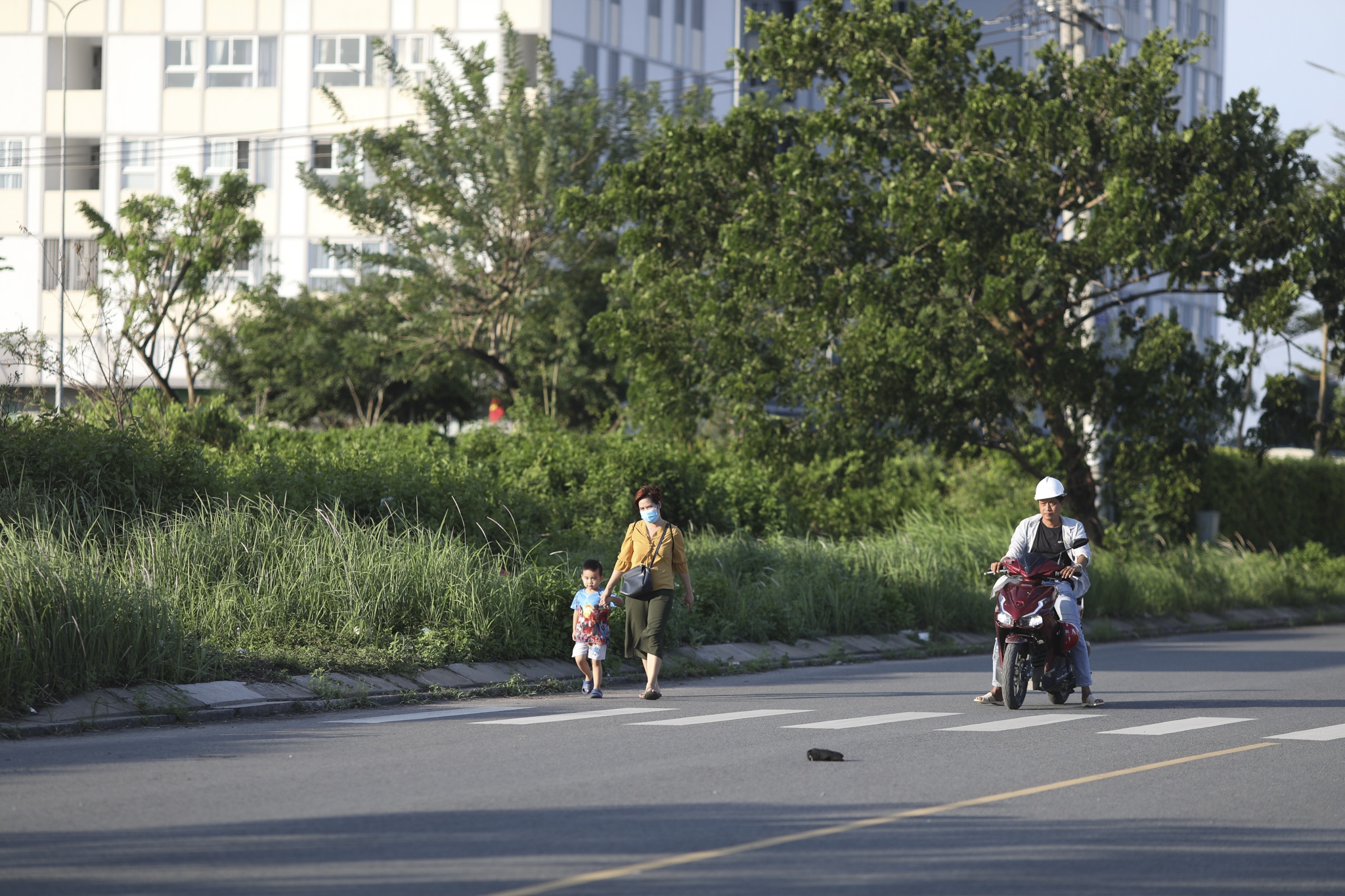Chung cu Cat Lai,  Can ho Cat Lai,  Nha pho Cat lai,  tinh tinh Cat Lai anh 15