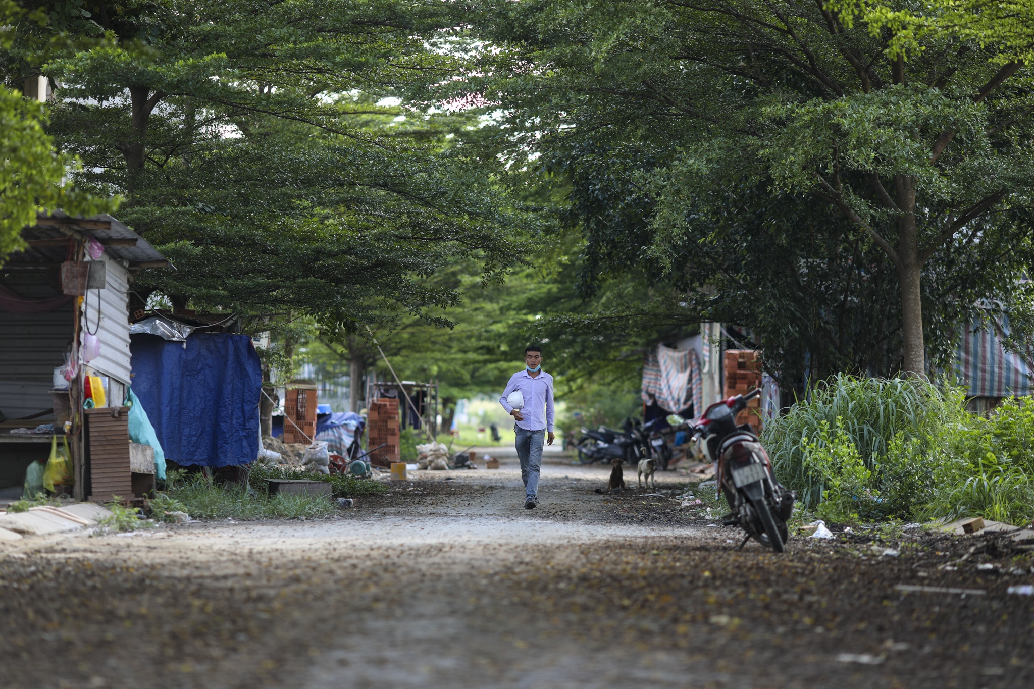 Chung cu Cat Lai,  Can ho Cat Lai,  Nha pho Cat lai,  tinh tinh Cat Lai anh 9