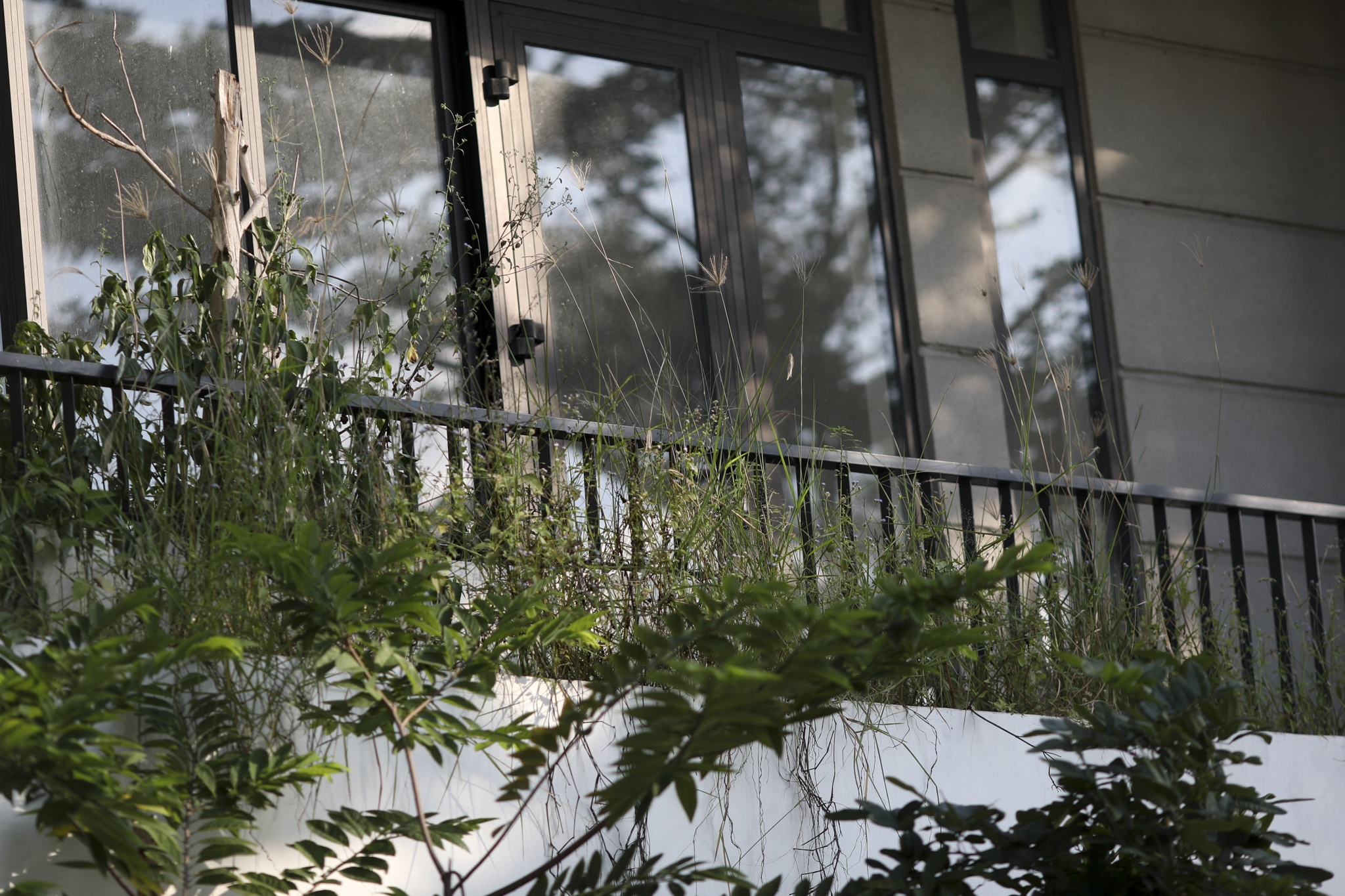 Chung cu Cat Lai,  Can ho Cat Lai,  Nha pho Cat lai,  tinh tinh Cat Lai anh 7