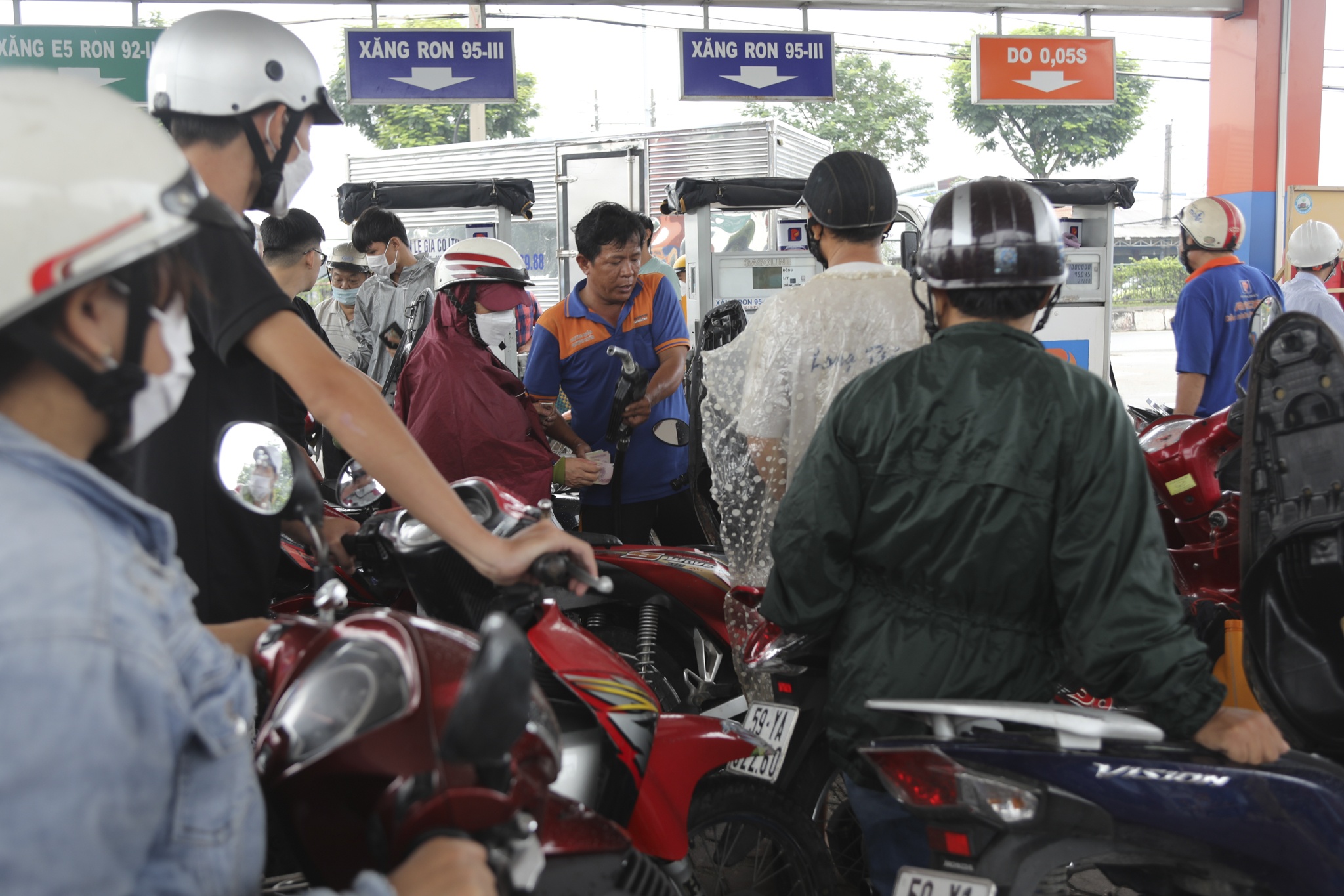 cay xang TP.HCM anh 7