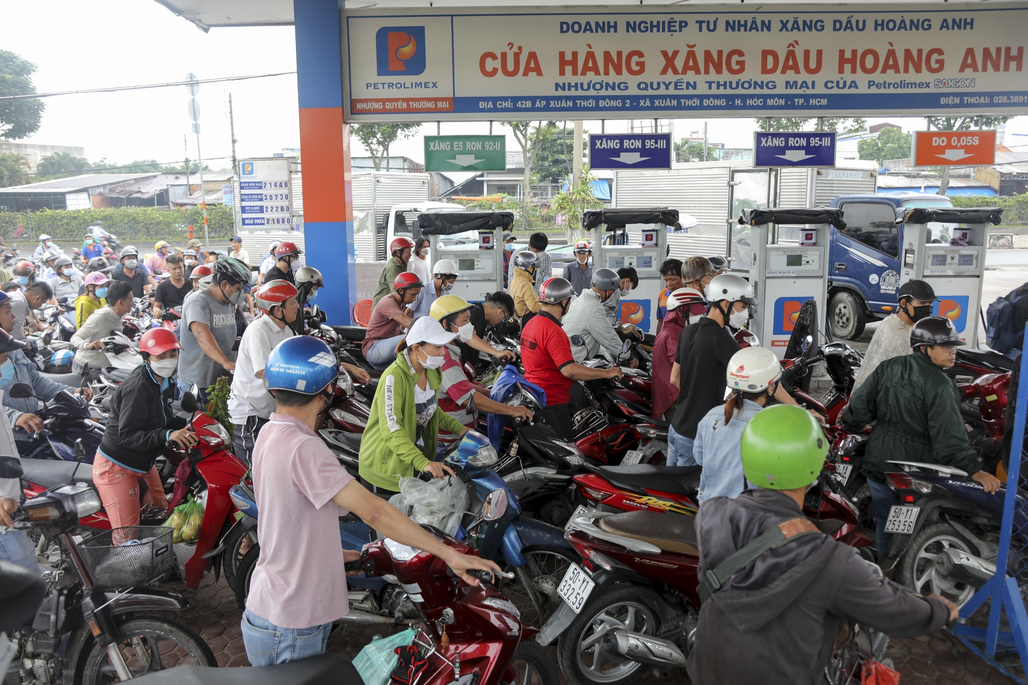 cay xang TP.HCM anh 1