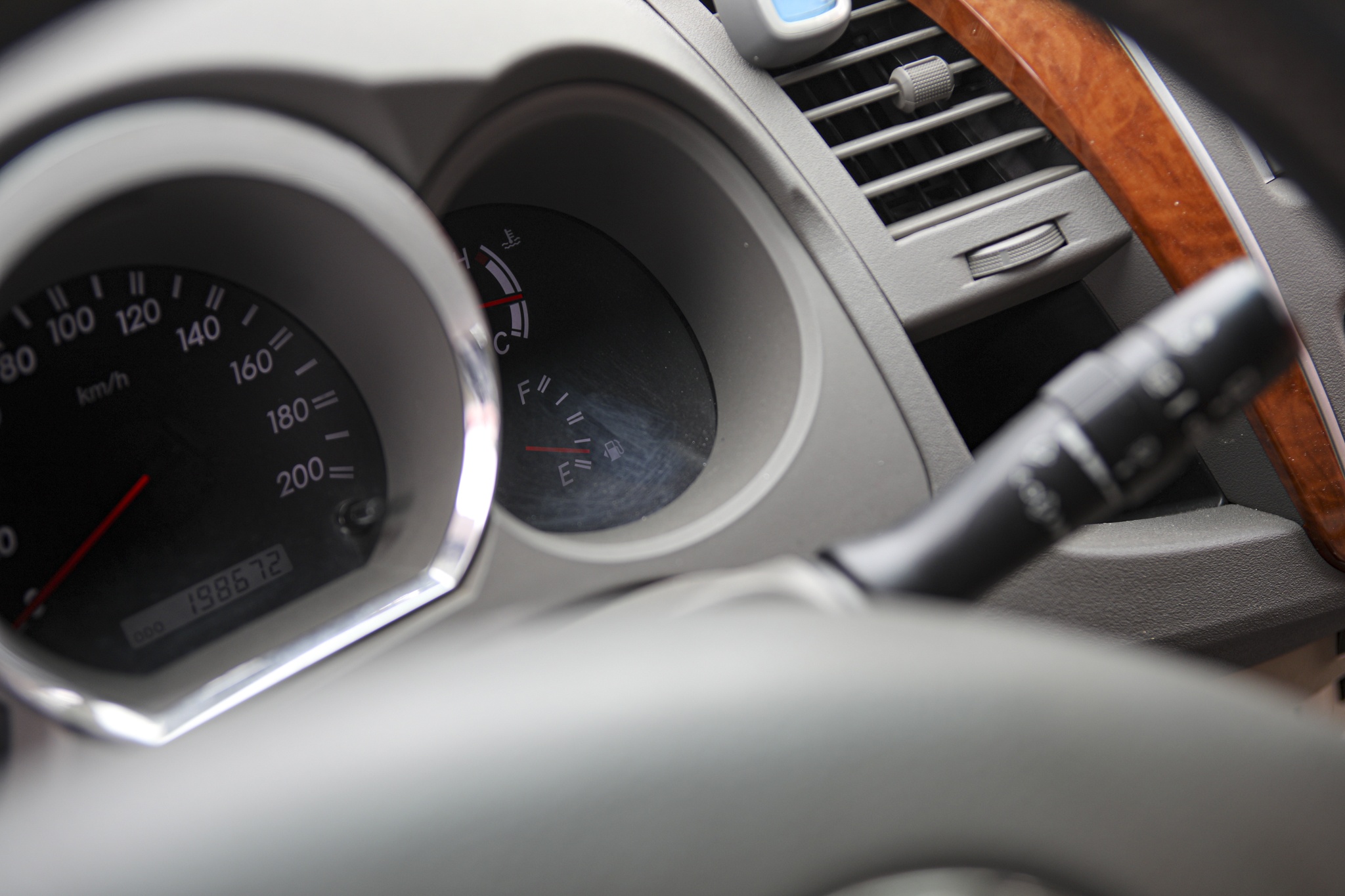 cay xang TP.HCM anh 5