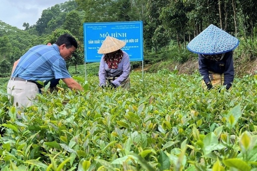 Tu 'che ban' den san pham OCOP 4 sao hinh anh