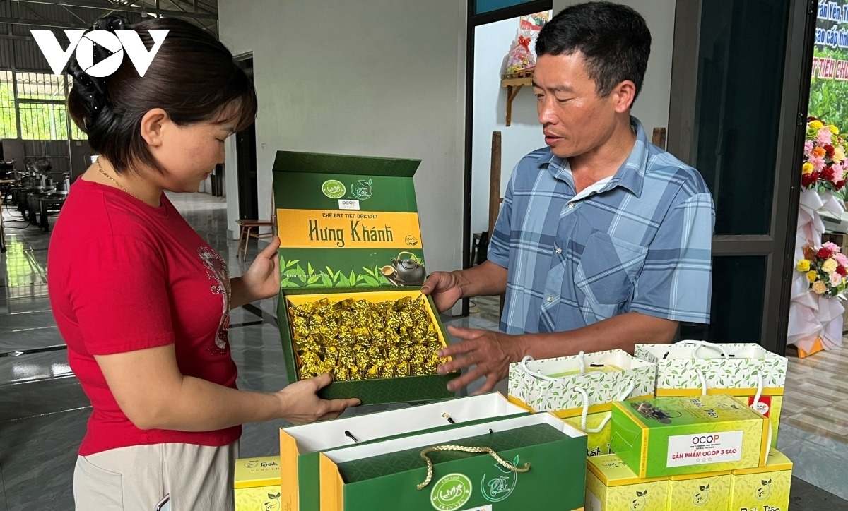 che xanh,  doi che anh 4