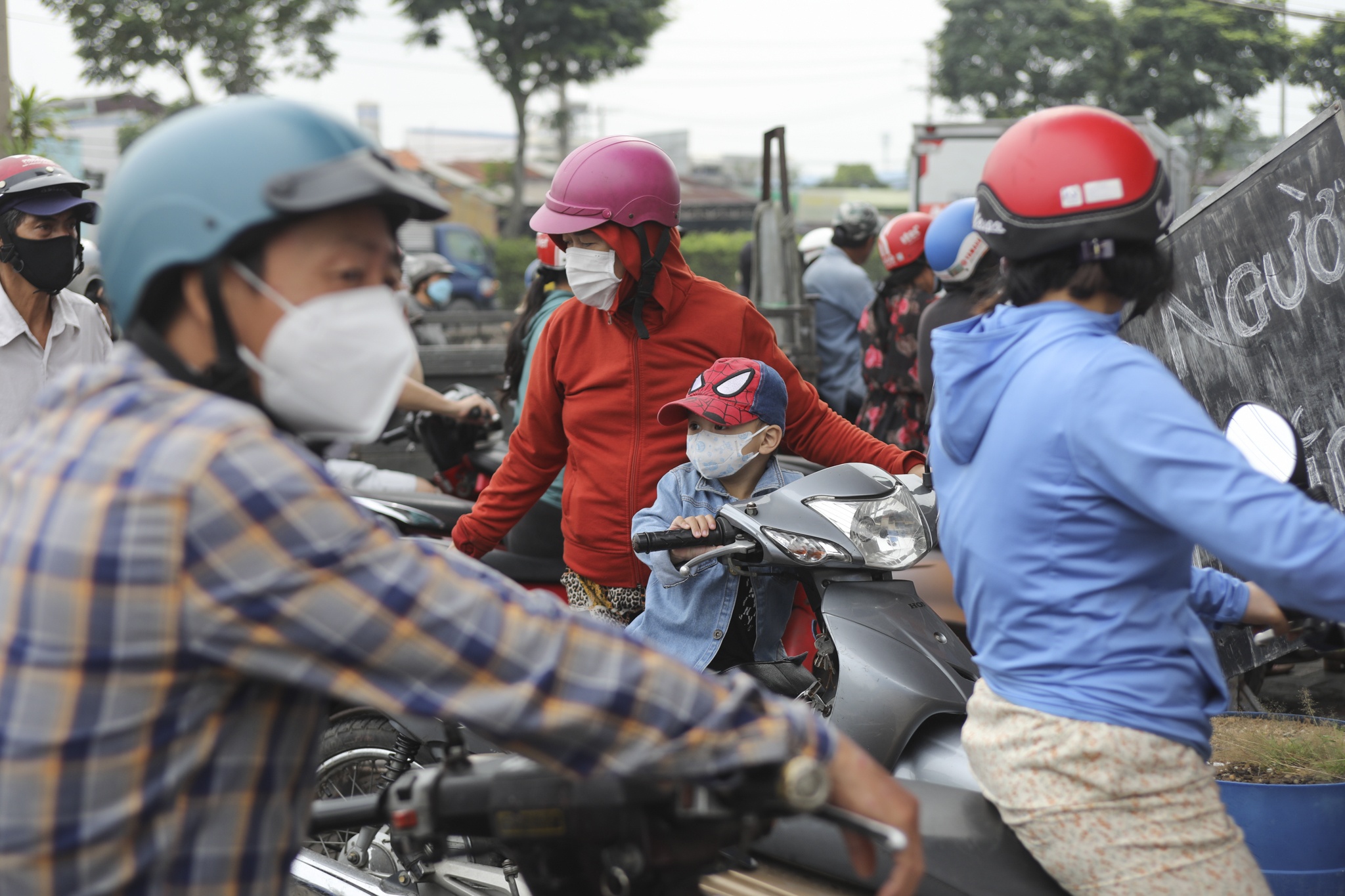 cay xang TP.HCM anh 2