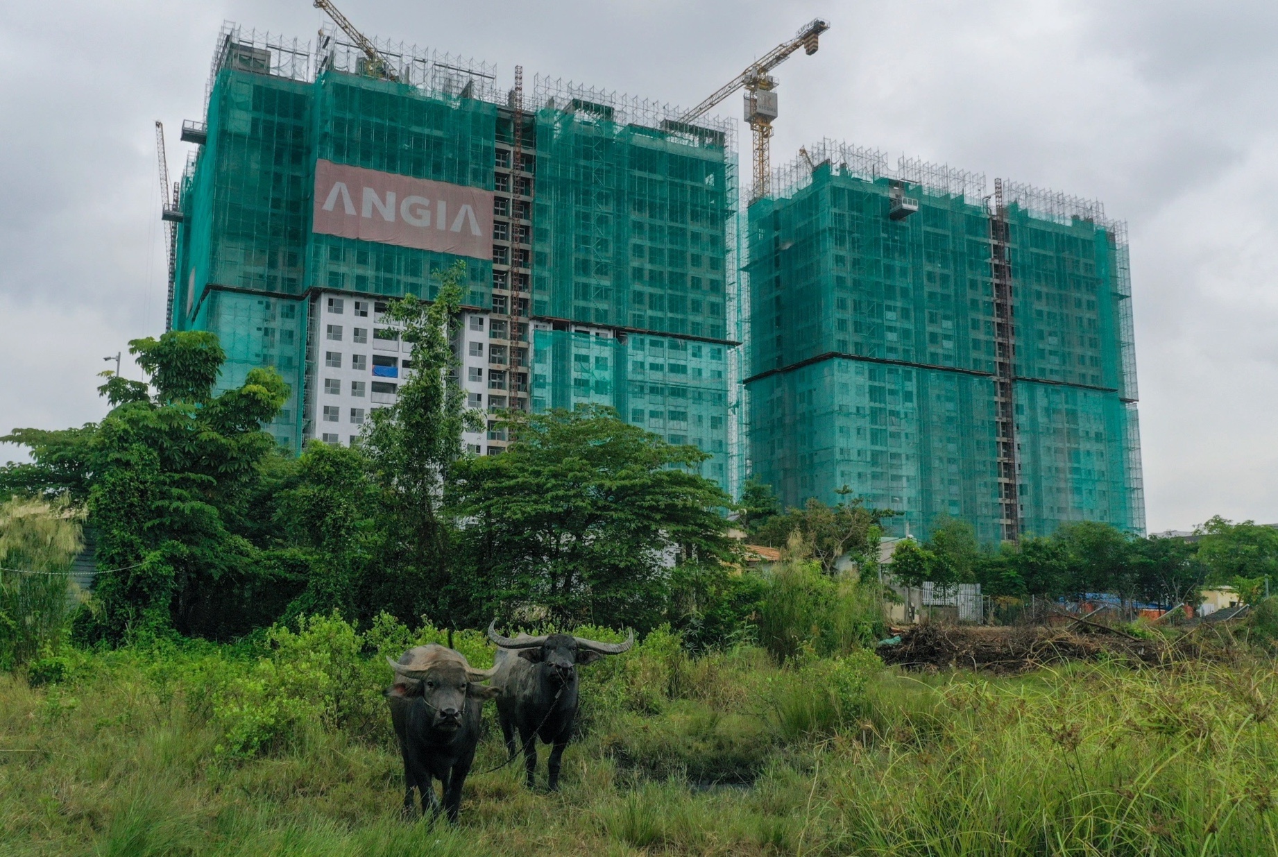 Loat du an can ho bung hang dip cuoi nam o TP.HCM hinh anh