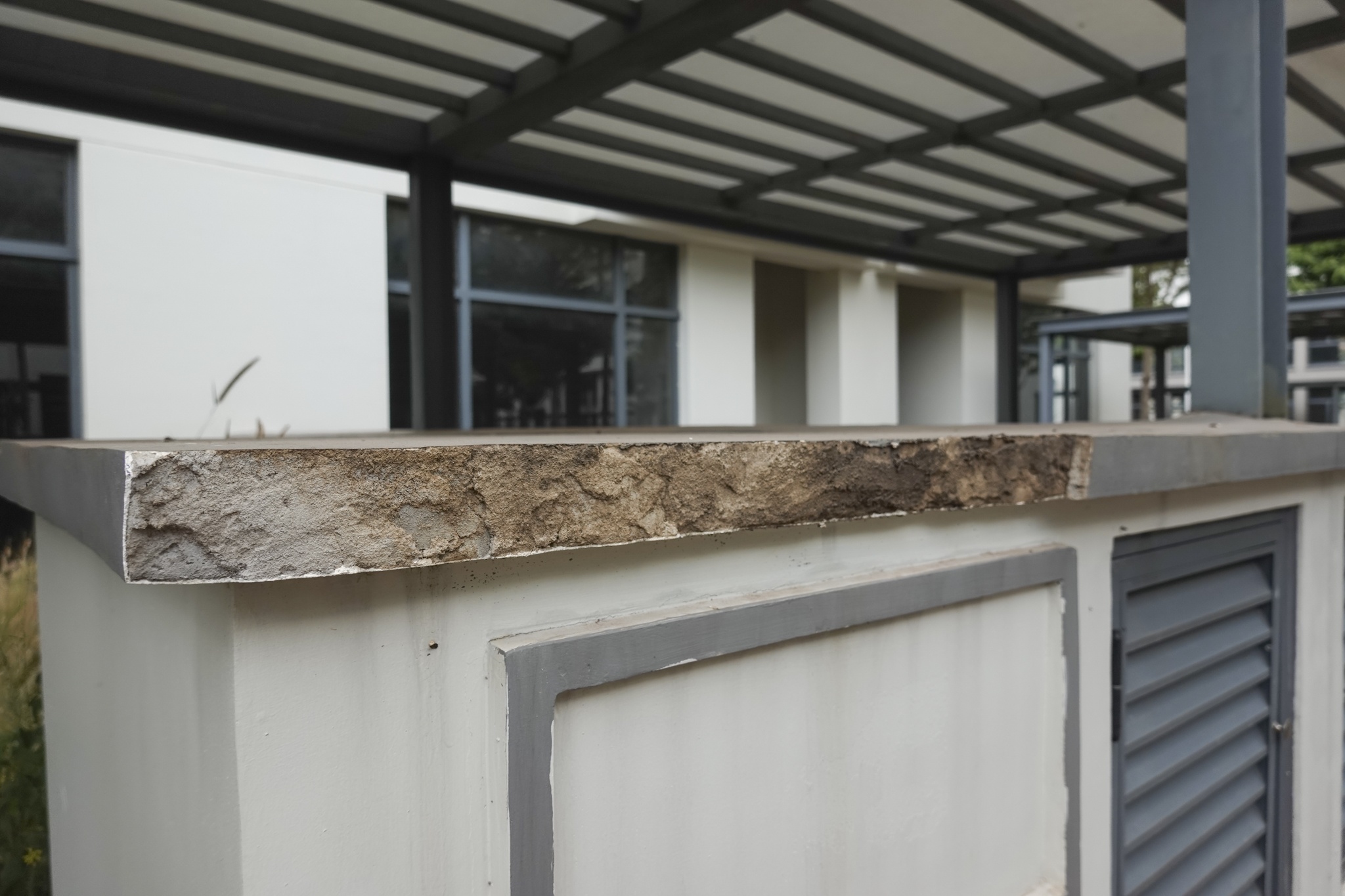 gia nha pho SwanPark anh 5