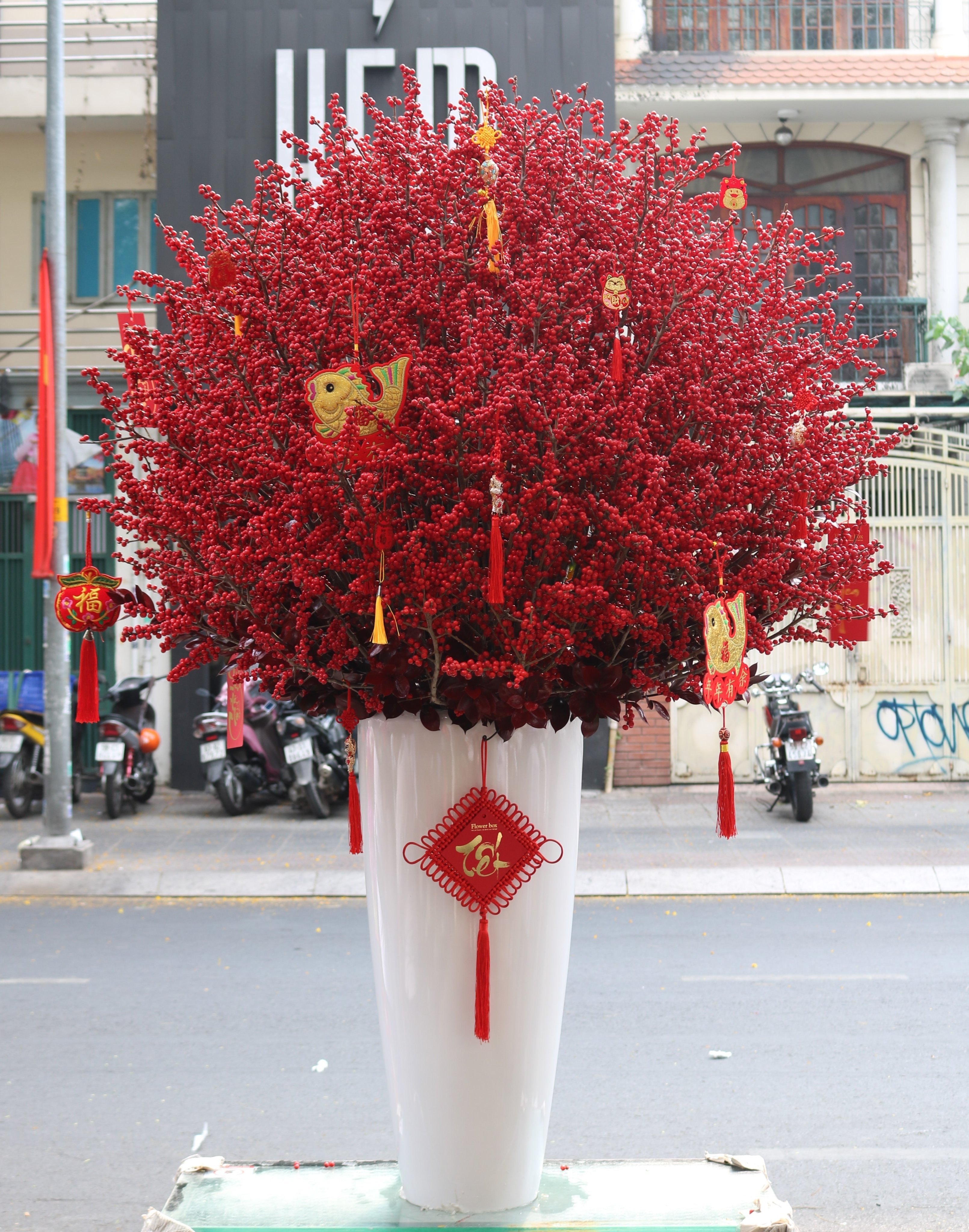 Thi truong hoa Tet TP.HCM anh 2