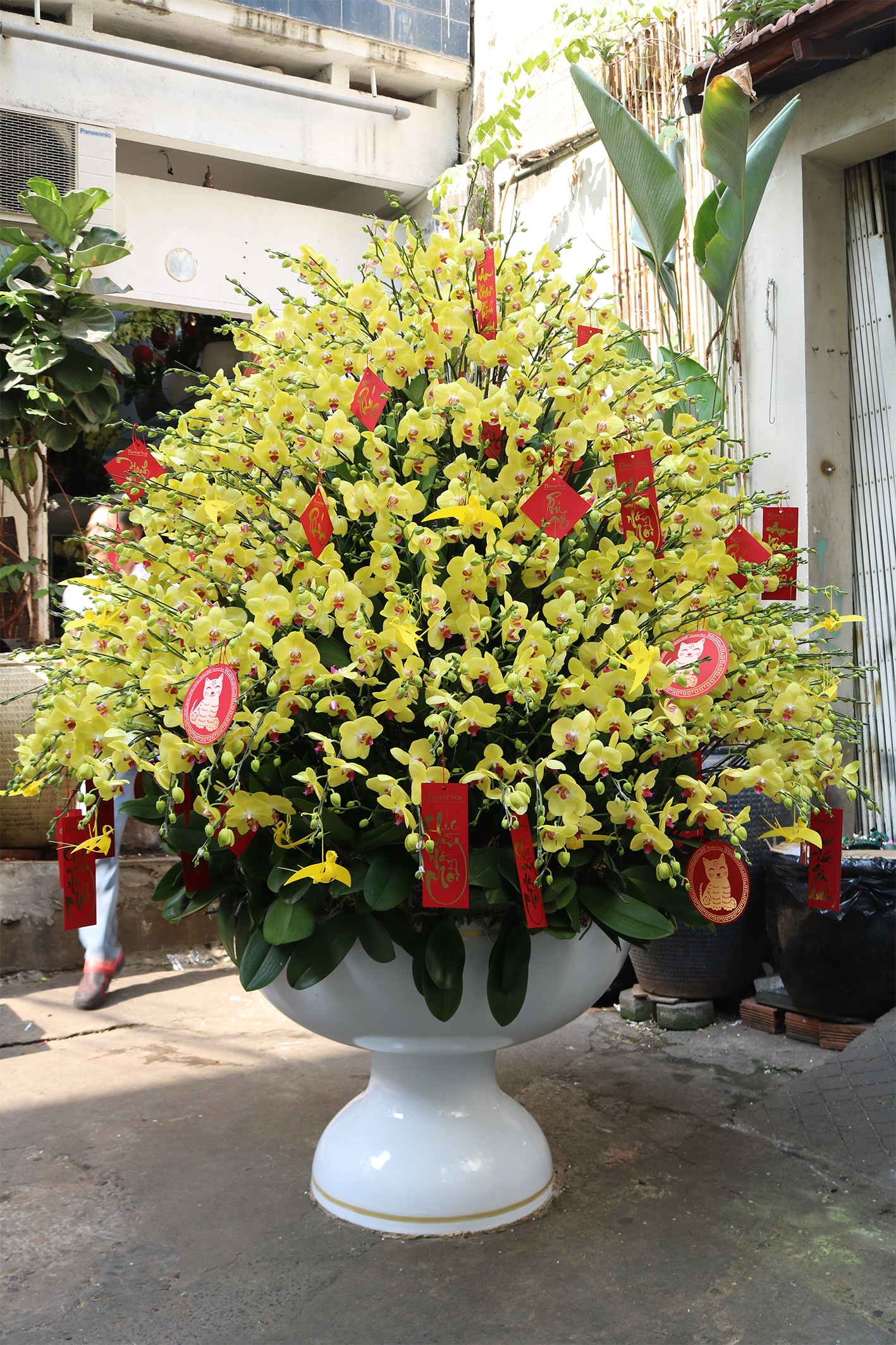 Thi truong hoa Tet TP.HCM anh 1