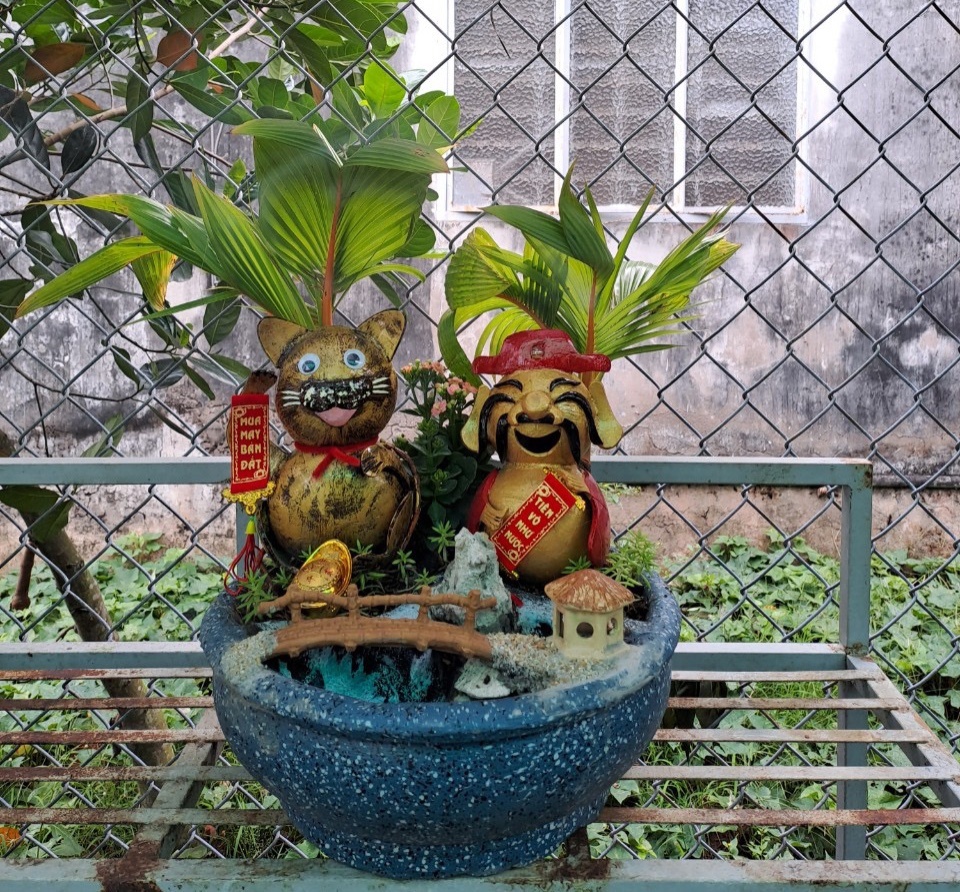 bonsai hinh meo anh 2