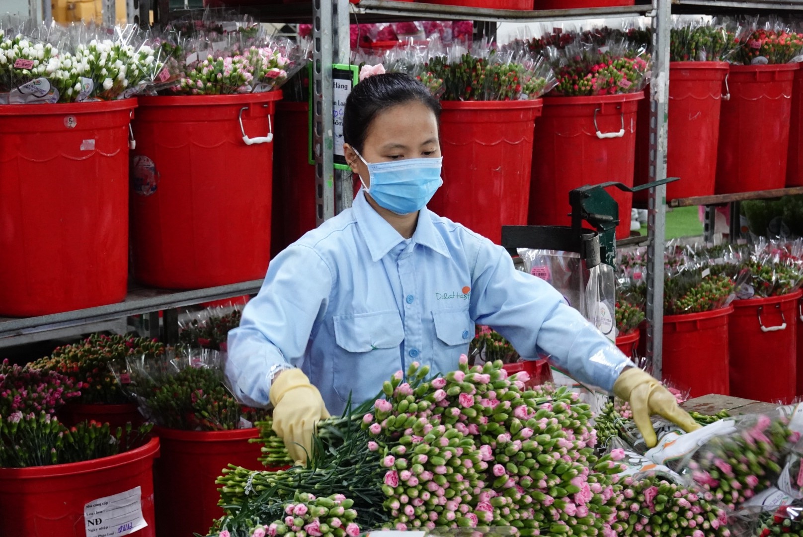 Thi truong hoa Tet TP.HCM anh 1