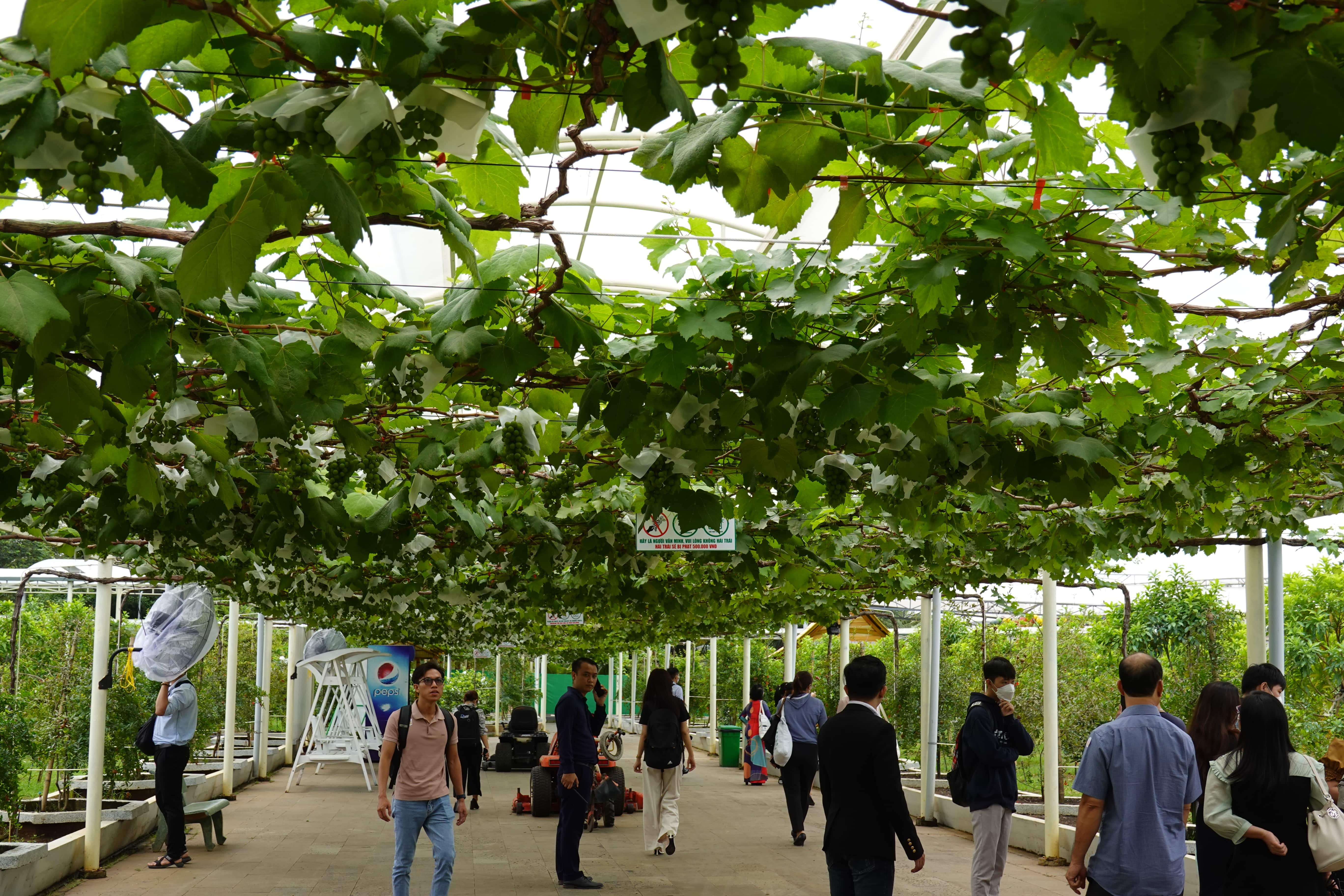 khu du lich suoi tien anh 1