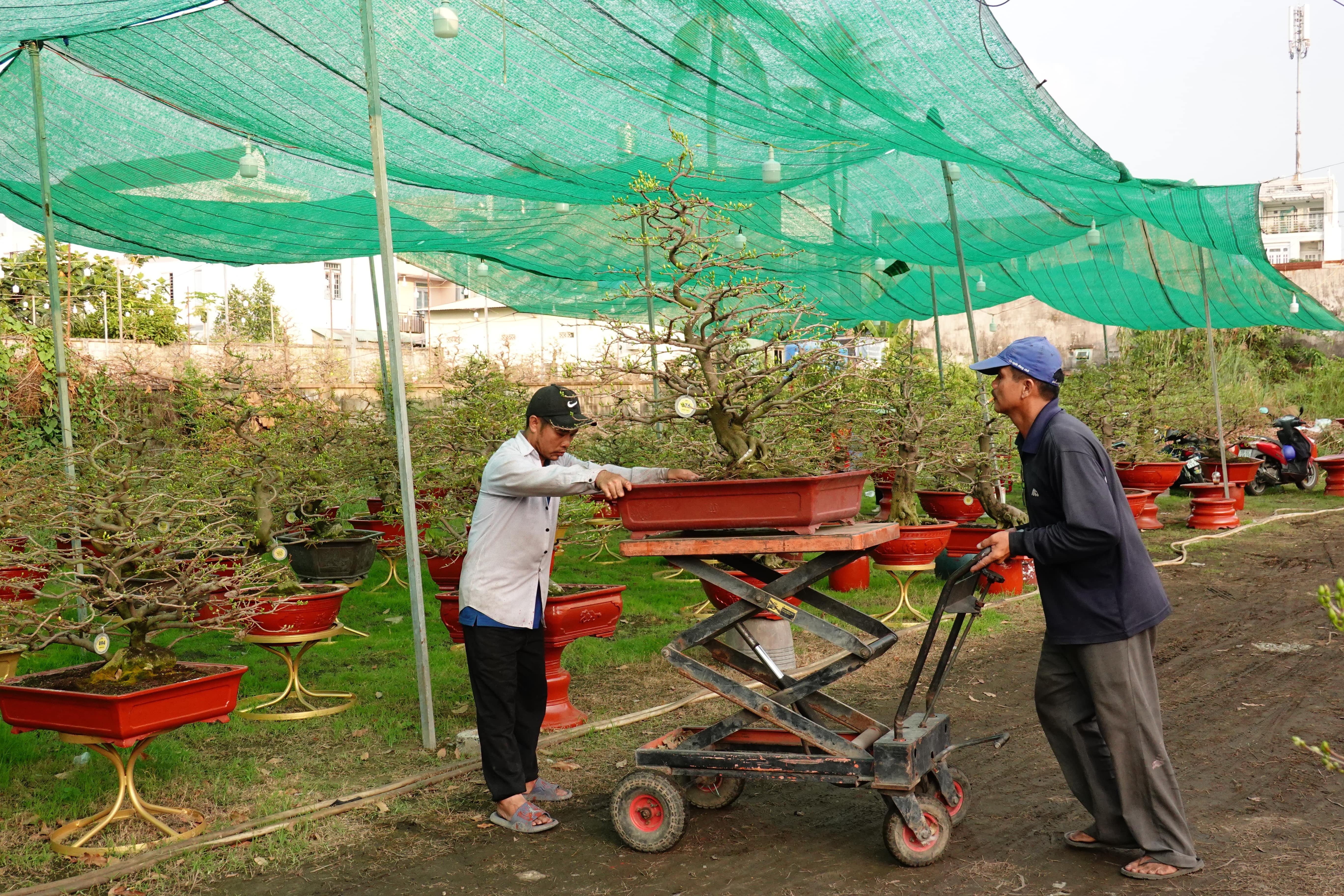 Thua thot khach mua mai Tet hinh anh