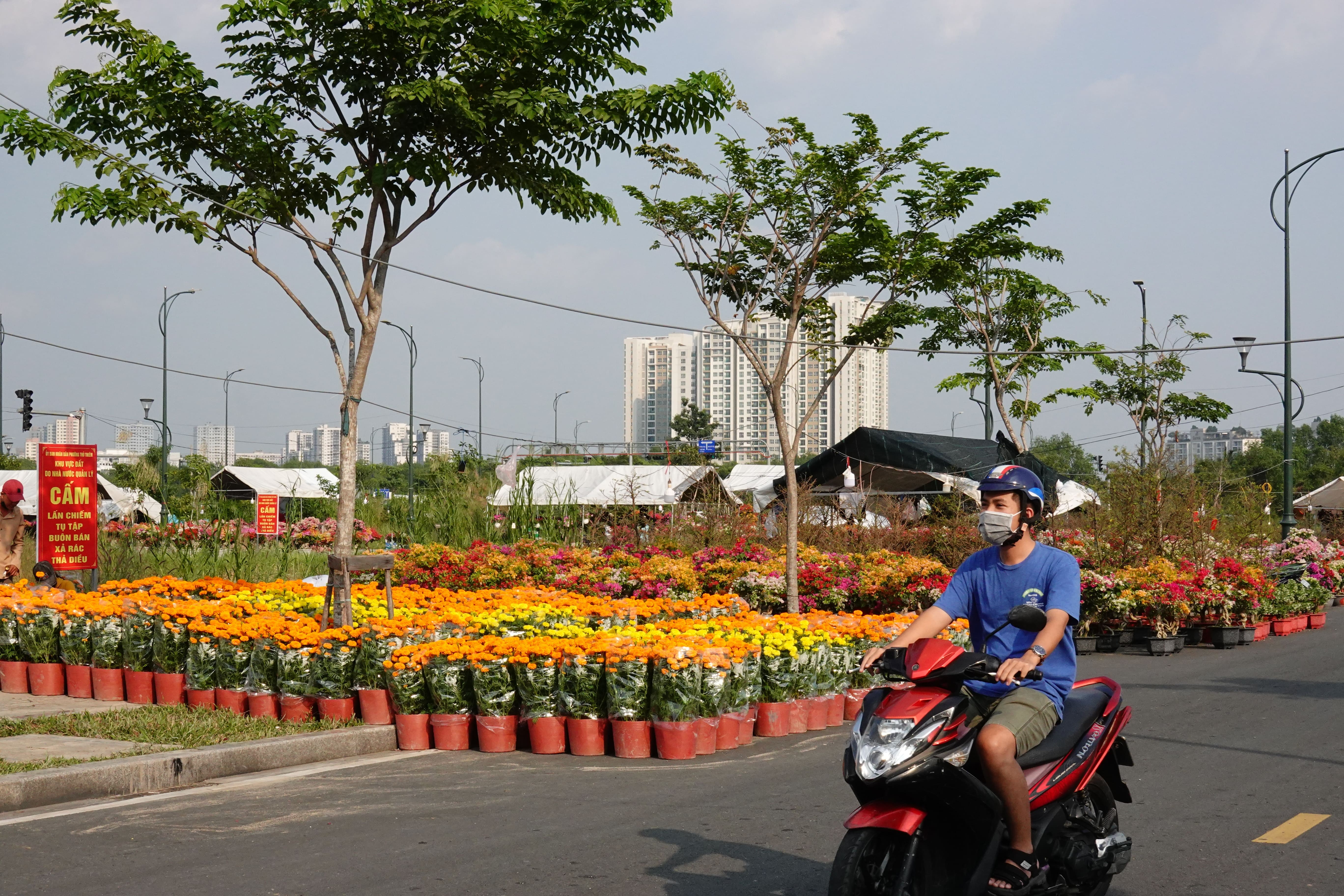 hoa Tet vang khach anh 5