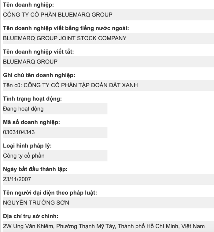Bluemarq Group anh 1