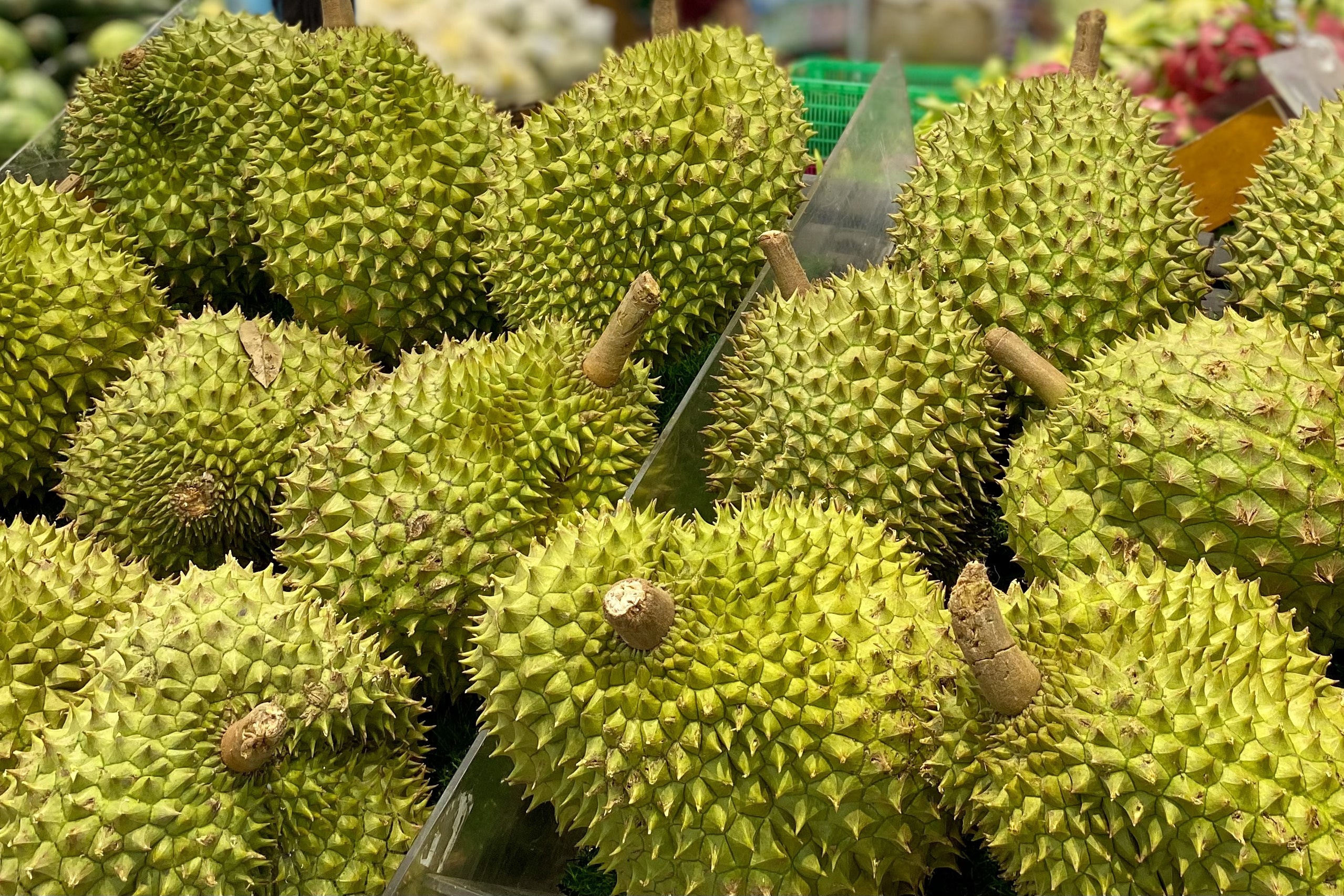 Gia thu mua sau rieng tang len 220.000 dong/kg hinh anh