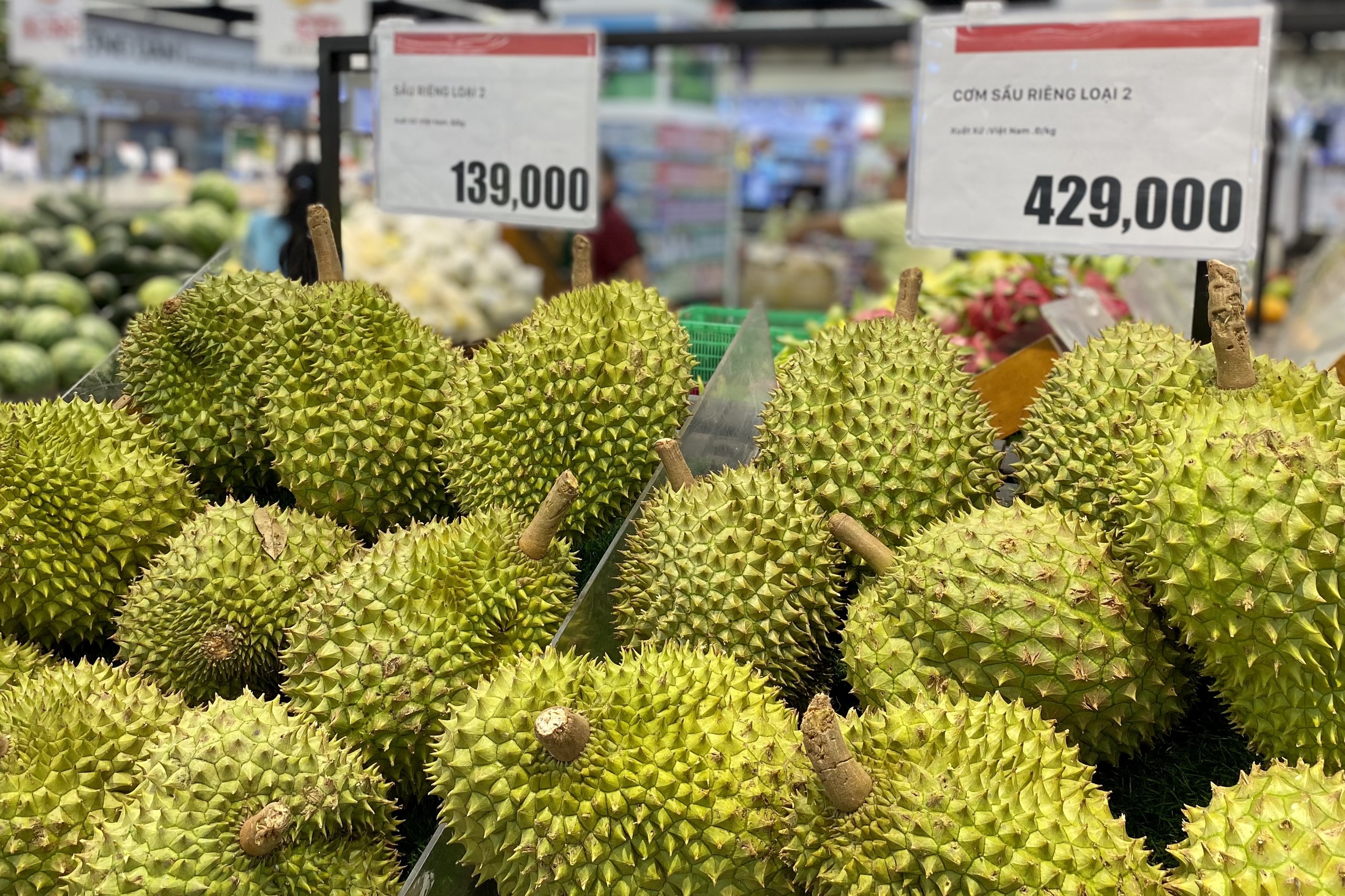 Giá thu mua sầu riêng ảnh 2 Gia thu mua sau rieng anh 2