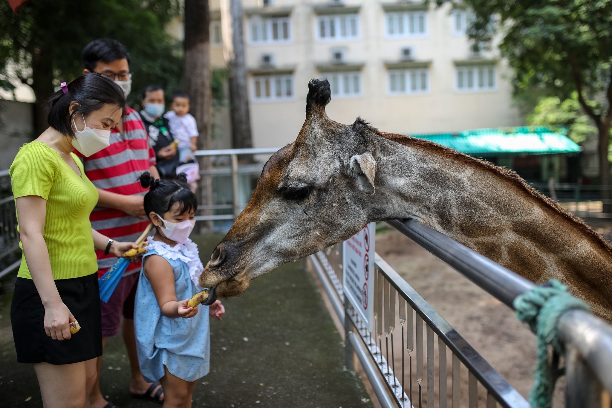 Doanh thu Thao Cam Vien cao ky luc hinh anh