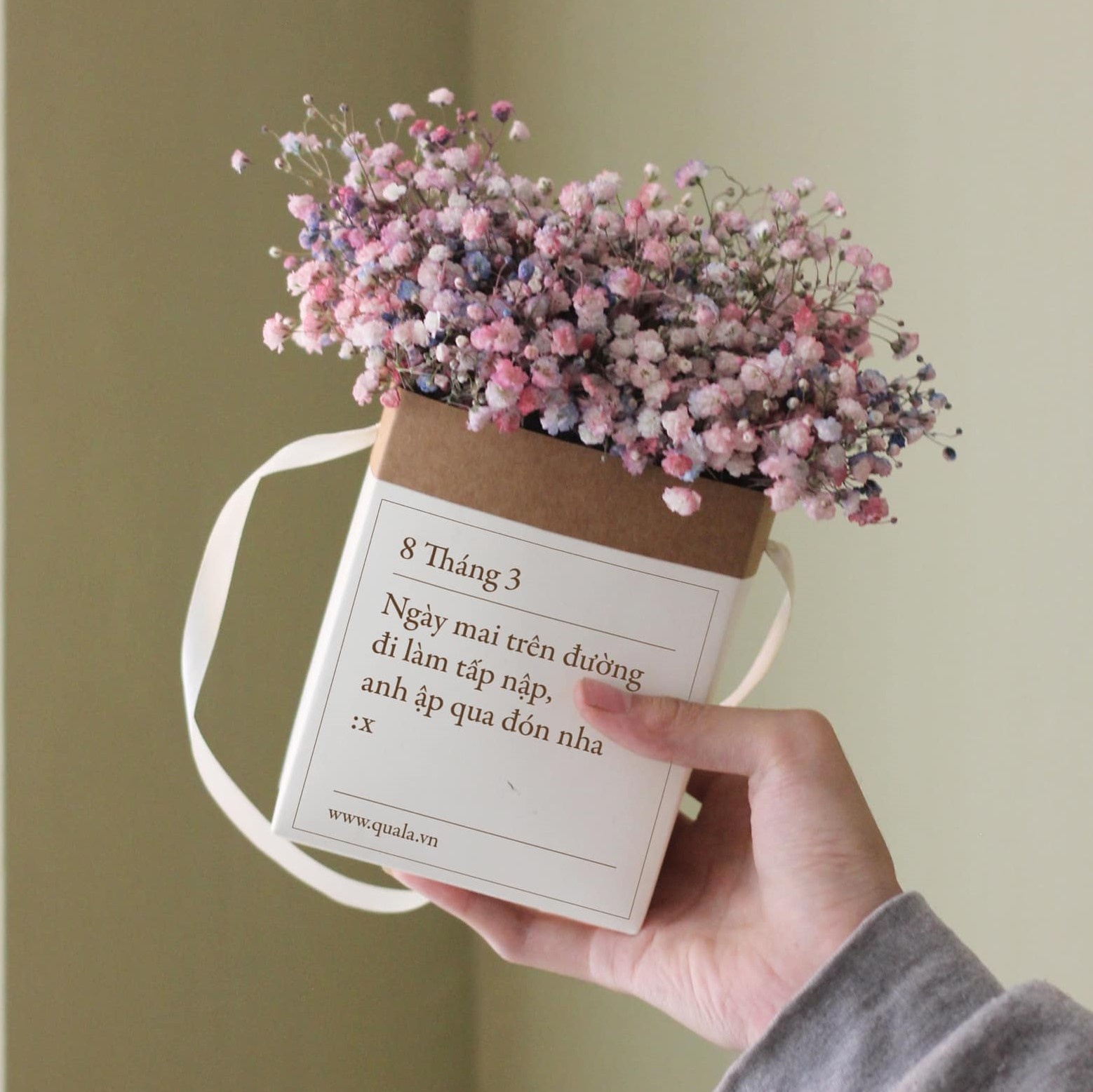 hoa 8/3 ảnh 1 hoa 8/3 anh 1