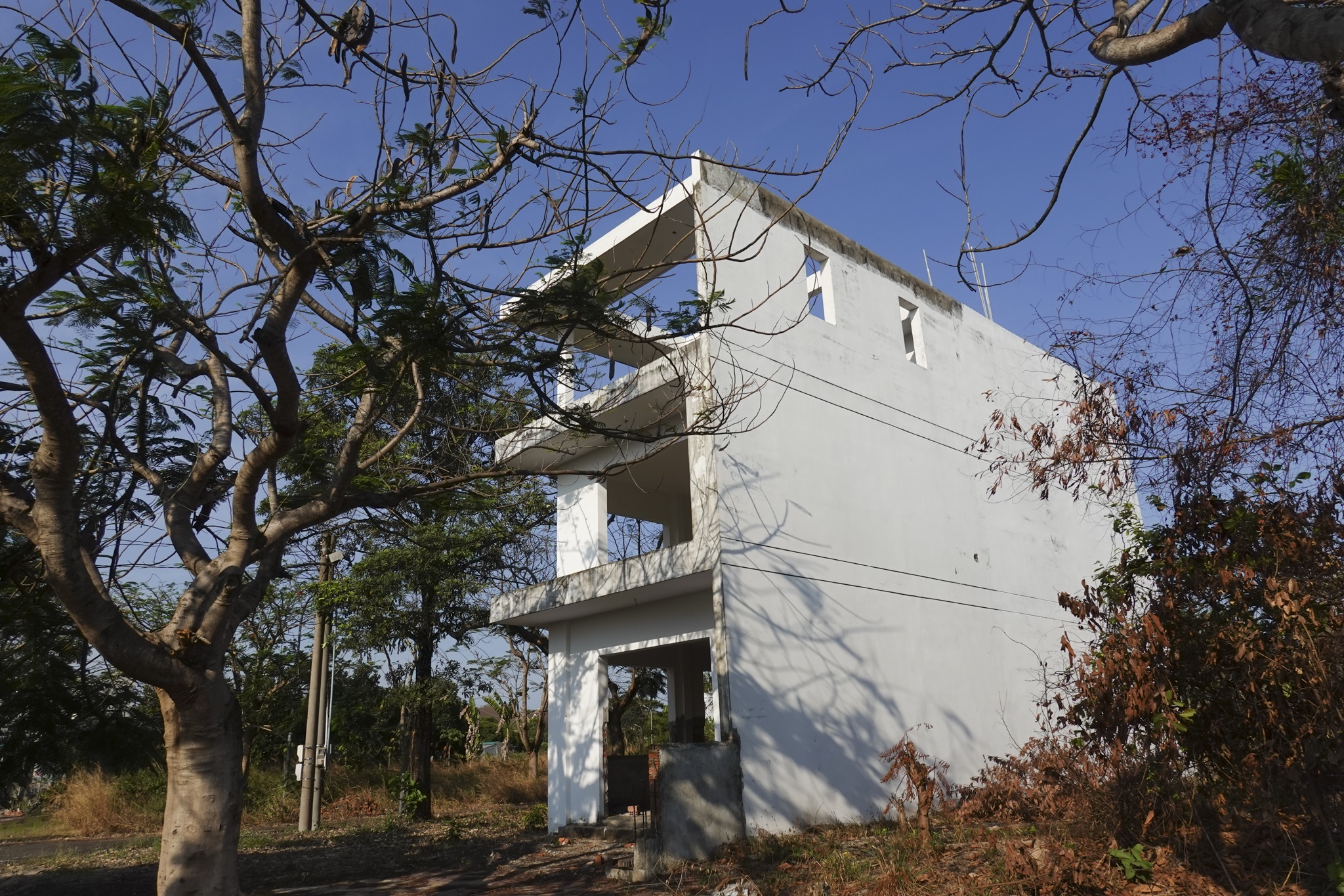 dau tu dat nen,  dat nen Nhon Trach anh 12