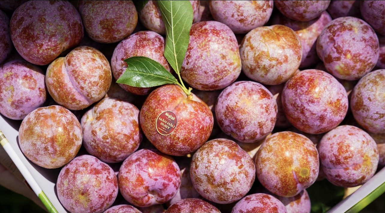 Man Ruby xuat khau sang Hong Kong gia gan 400.000 dong/kg hinh anh