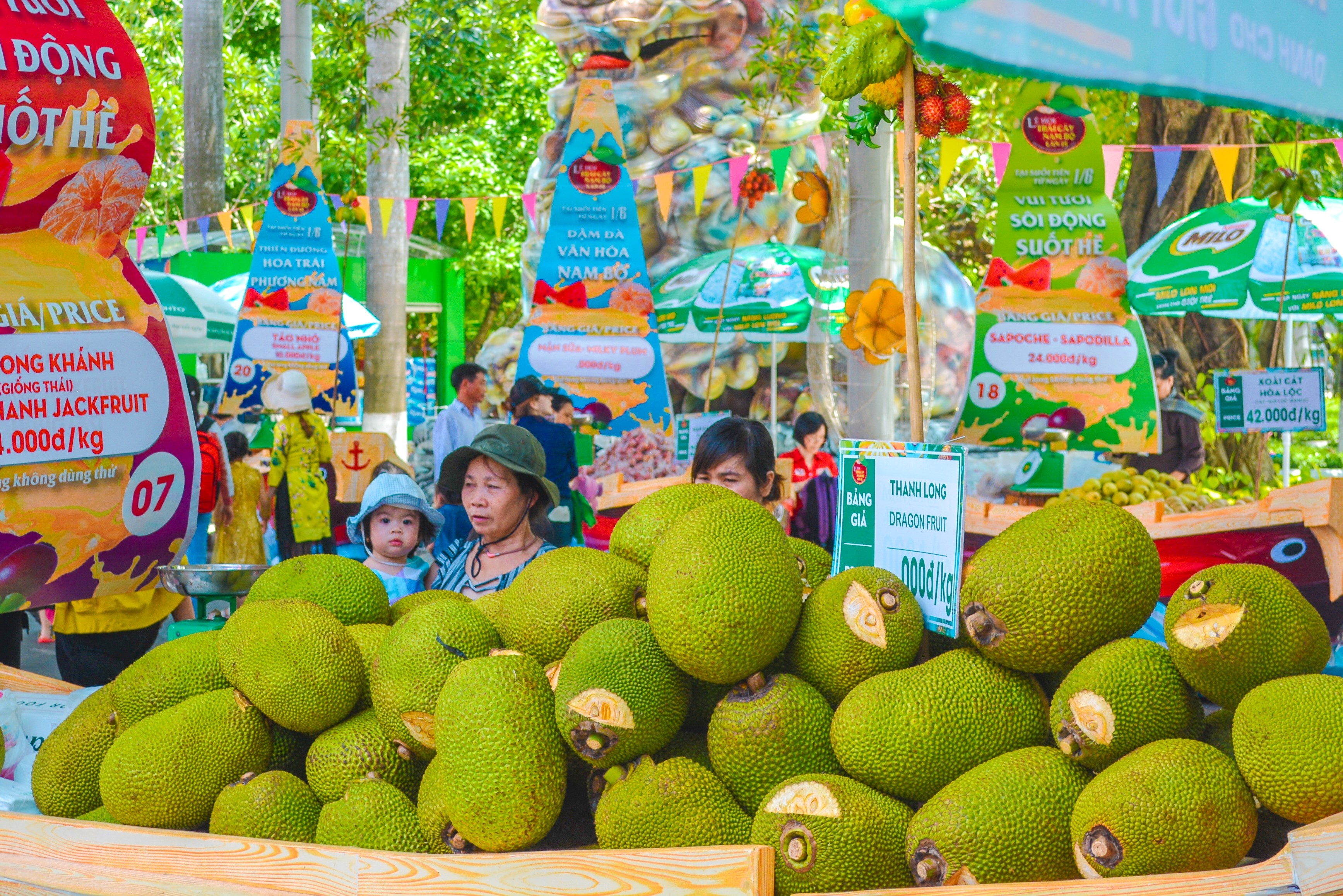Hang tram nha vuon Nam Bo dem trai cay len TP.HCM chao ban hinh anh