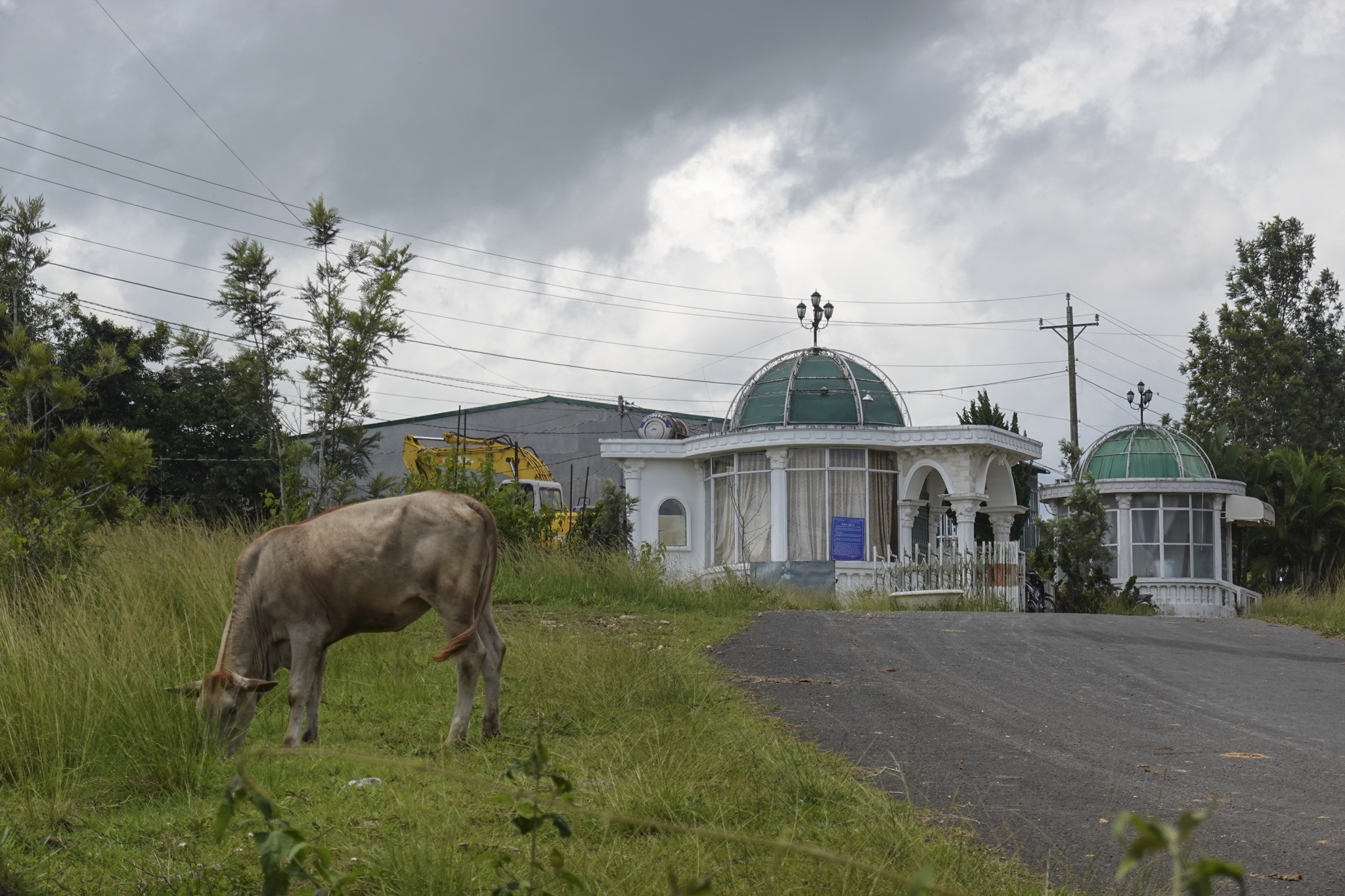 Can canh du an 25.000 ty dong cua dai gia Nguyen Cao Tri hinh anh