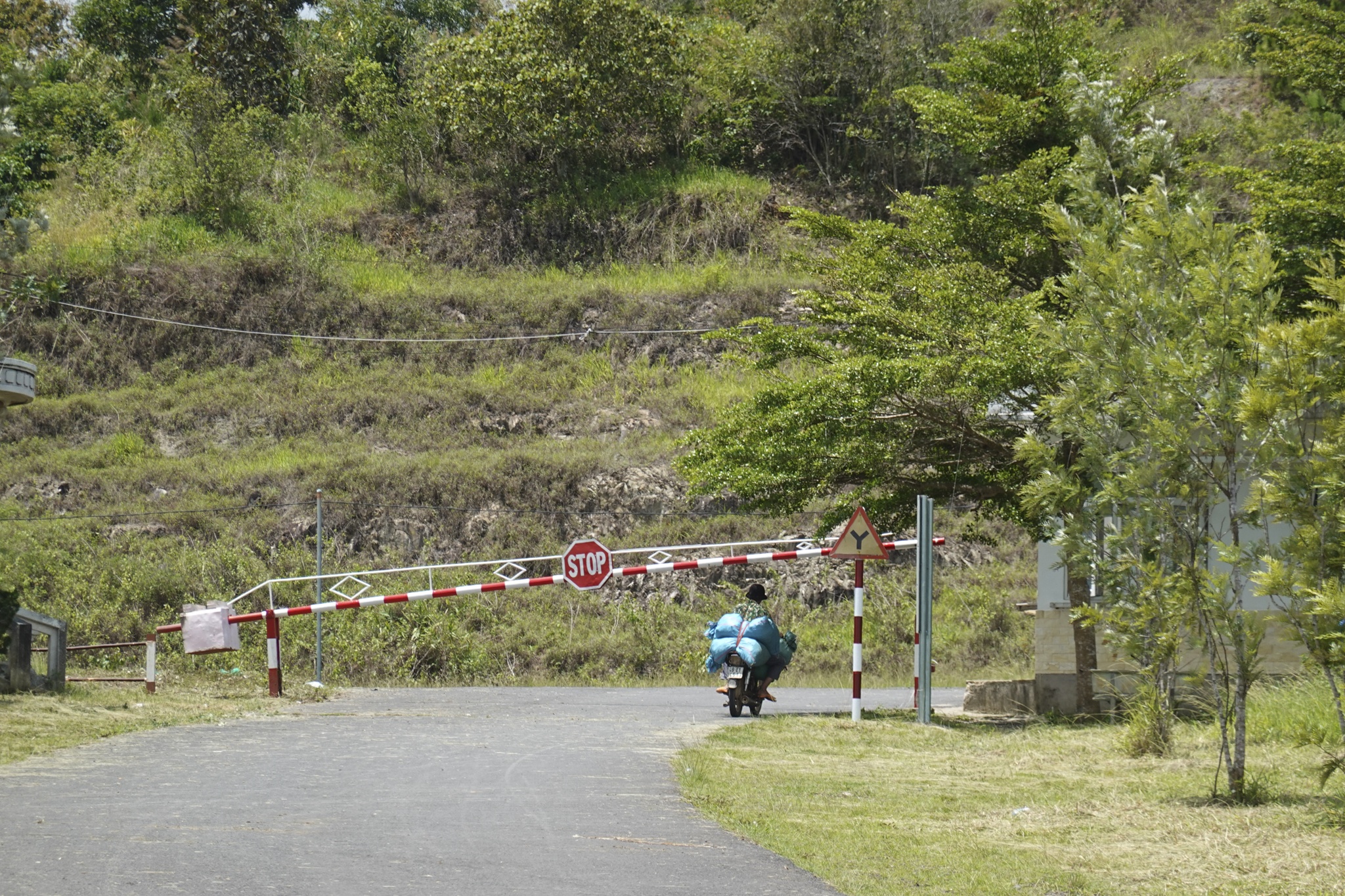 Nguyen Cao Tri,  do thi dai ninh anh 9