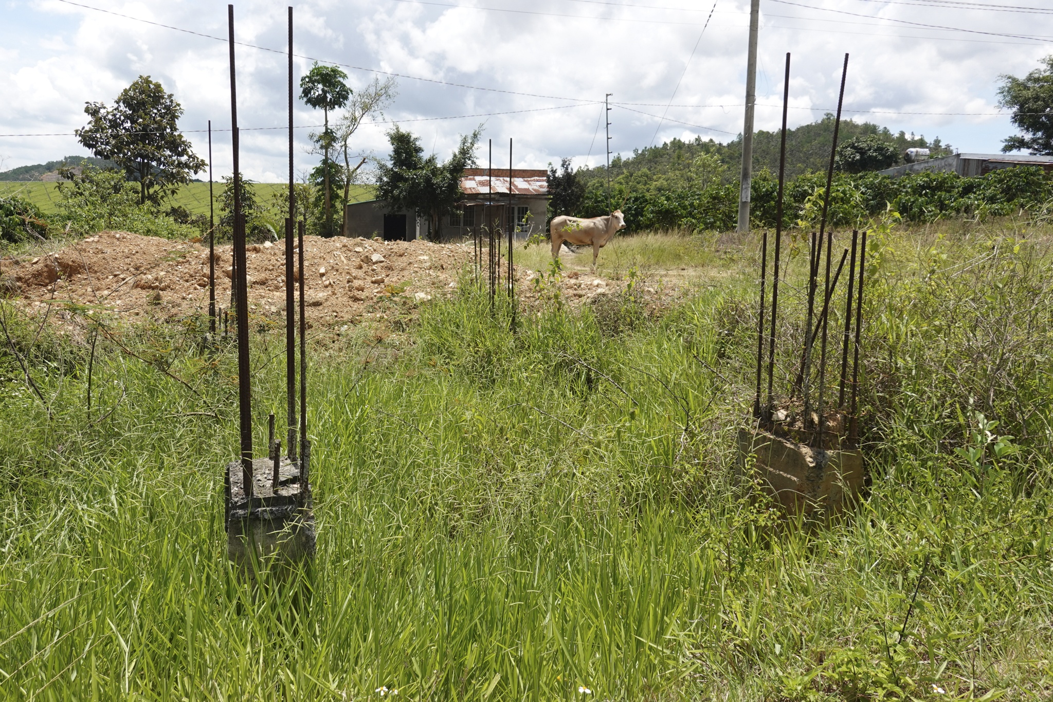Nguyen Cao Tri,  do thi dai ninh anh 8