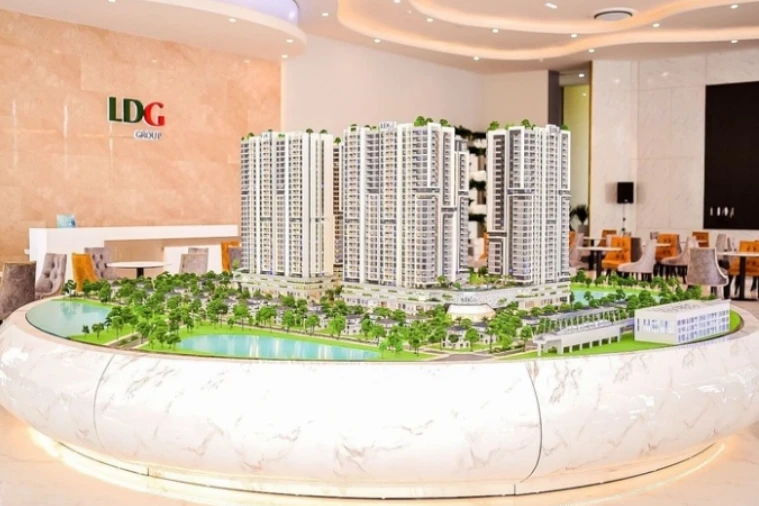 Co phieu LDG 'nam san' sau tin bi yeu cau mo thu tuc pha san hinh anh