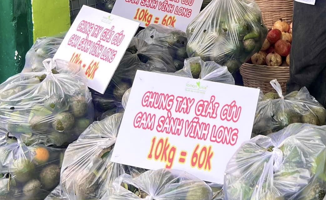 Nhieu noi o TP.HCM dong loat giai cuu cam sanh gia 6.000 dong/kg hinh anh