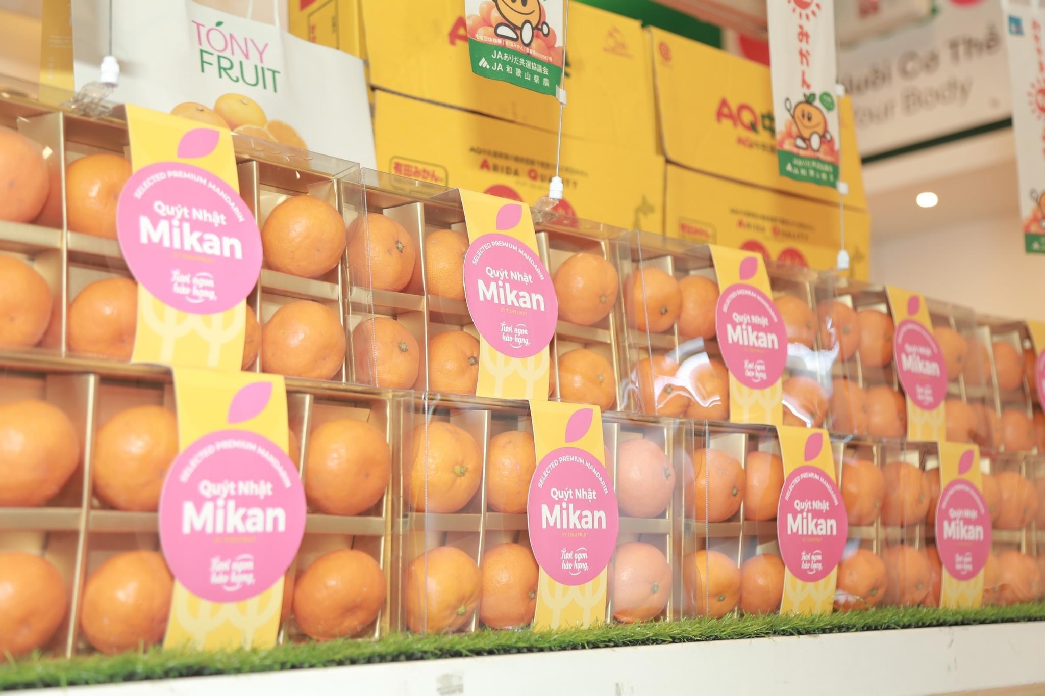 Tao, quyt Nhat dat khach hinh anh