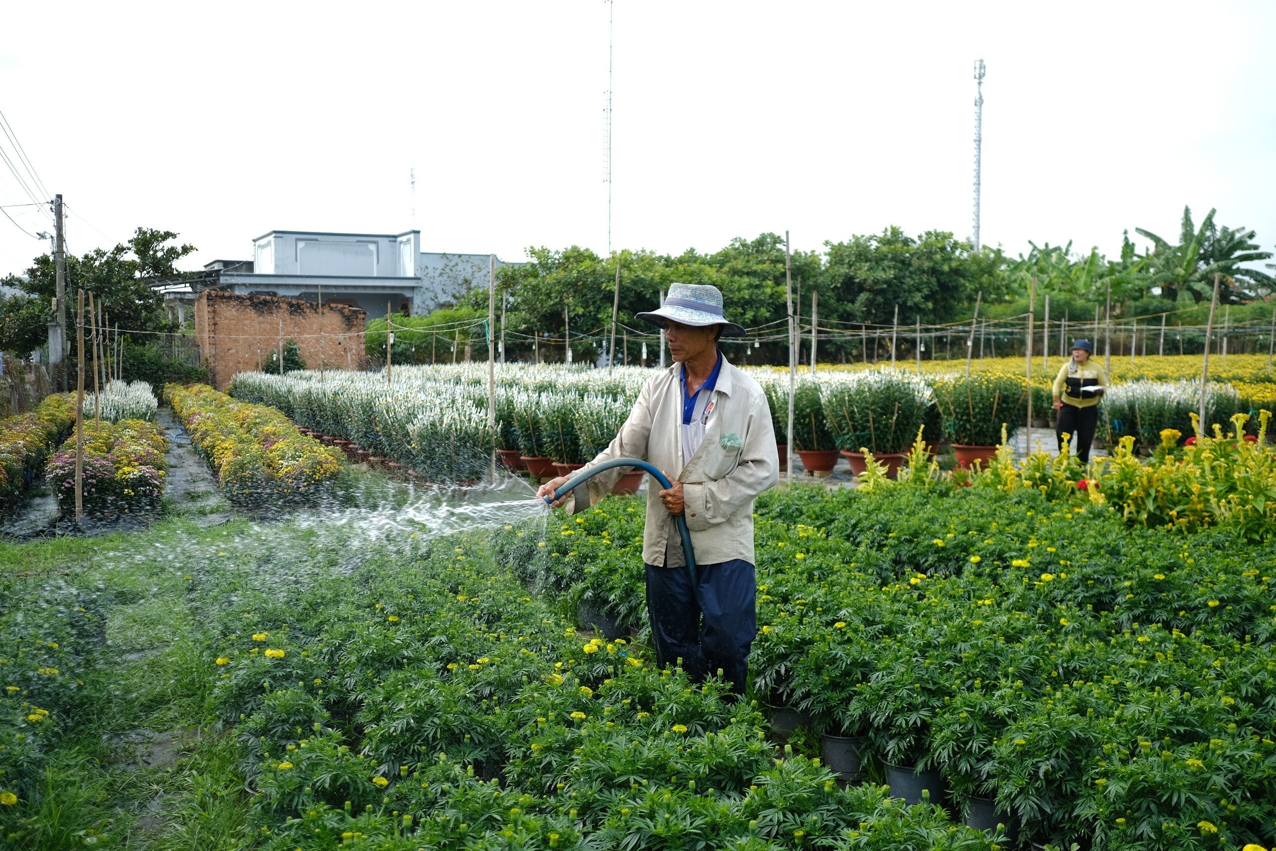 Nha vuon bi khach 'bom' hang tram chau hoa sat Tet hinh anh