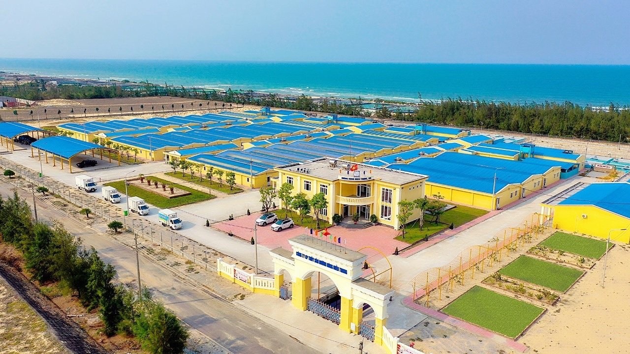 Mebi Group di ban tom giong hinh anh