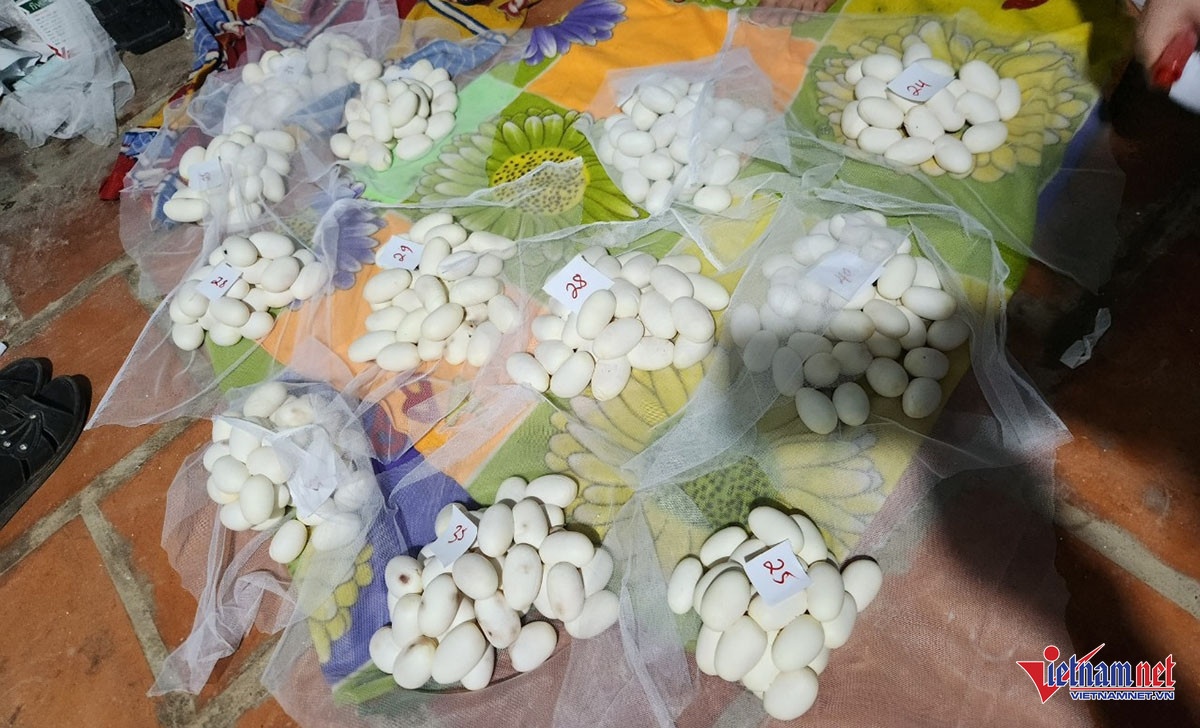 nuôi rắn ảnh 2 nuoi ran anh 2