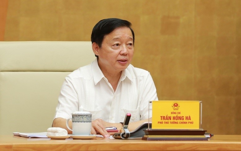 Sua Luat Dien luc phai chu trong chinh sach chuyen doi nang luong xanh hinh anh