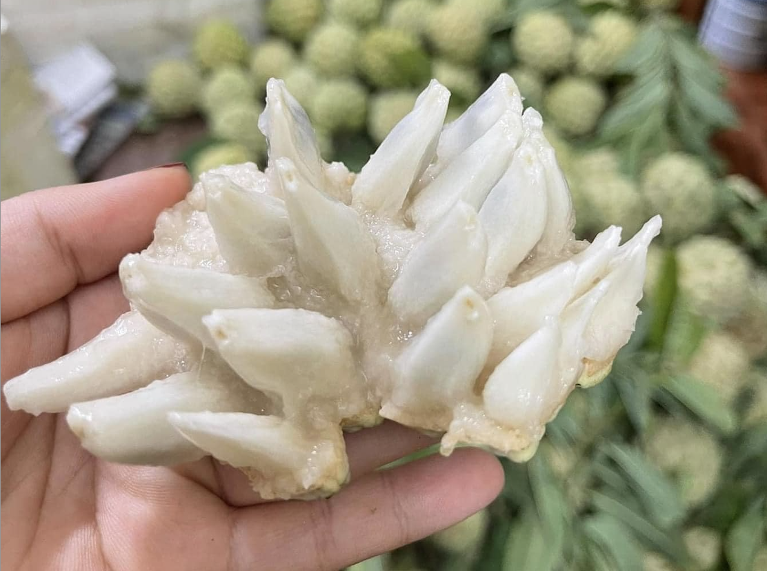 Dat hon sau rieng, na bo ve pho ban 250.000 dong/kg hinh anh