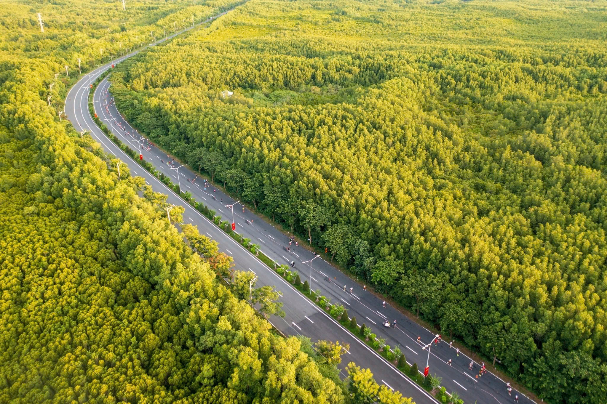 TP.HCM ung ho VinSpeed lam tuyen metro tu Ben Thanh den Can Gio hinh anh