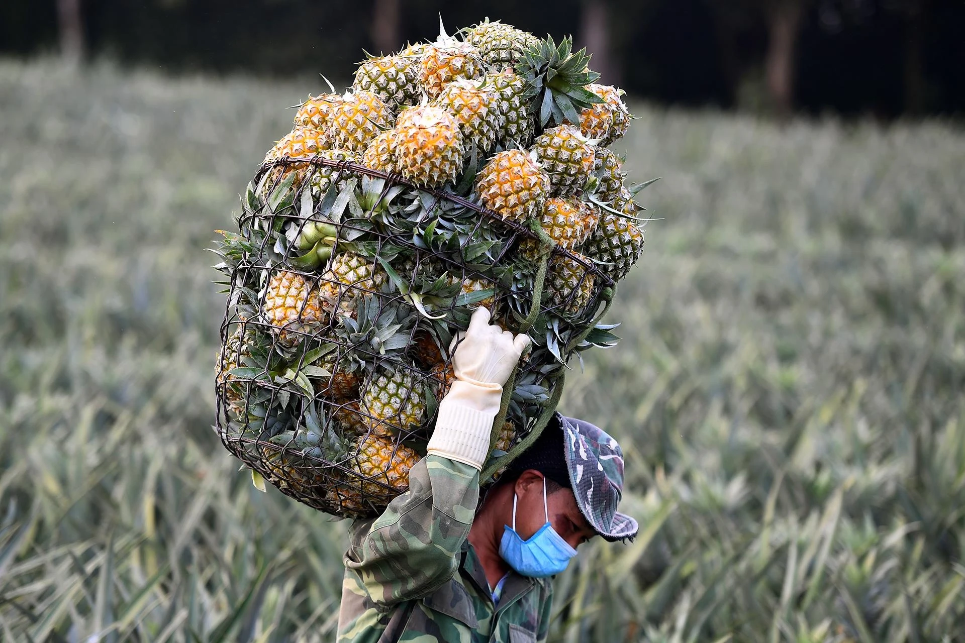 Bien la dua thanh to, vai hinh anh