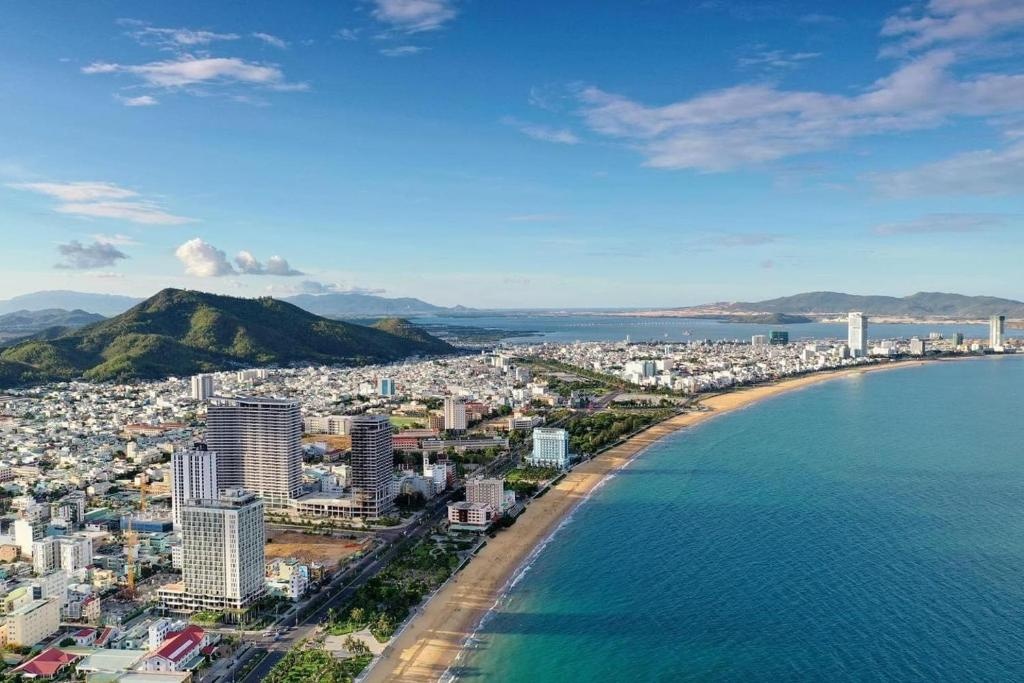 Hai 'dai gia' Han Quoc muon xay trung tam thuong mai o Quy Nhon hinh anh