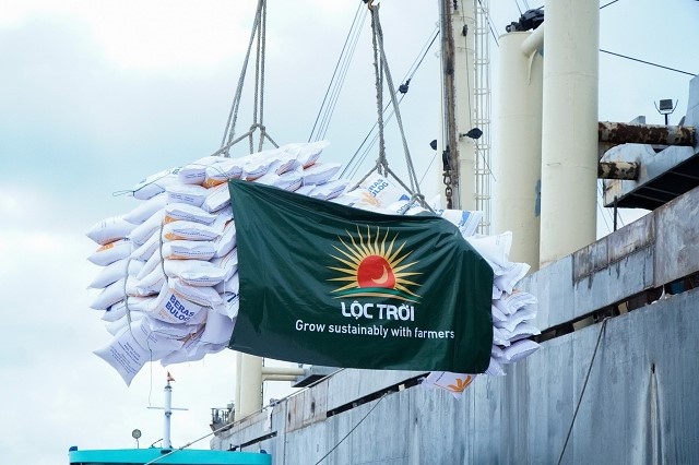 Loc Troi bo nhiem cung luc 2 pho tong giam doc hinh anh