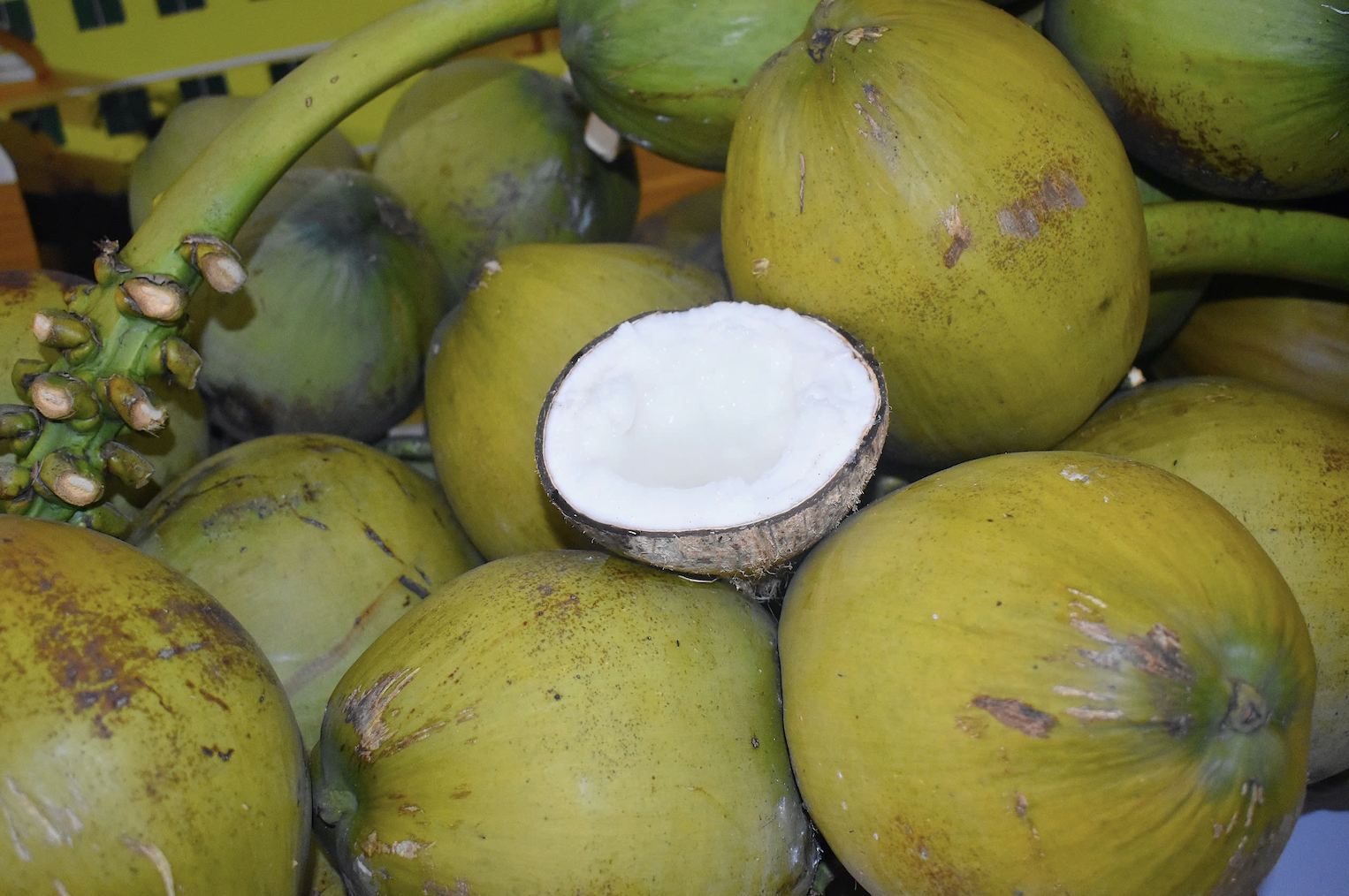 Dong cua nha may vi dua nguyen lieu da bi ban het qua Trung Quoc hinh anh
