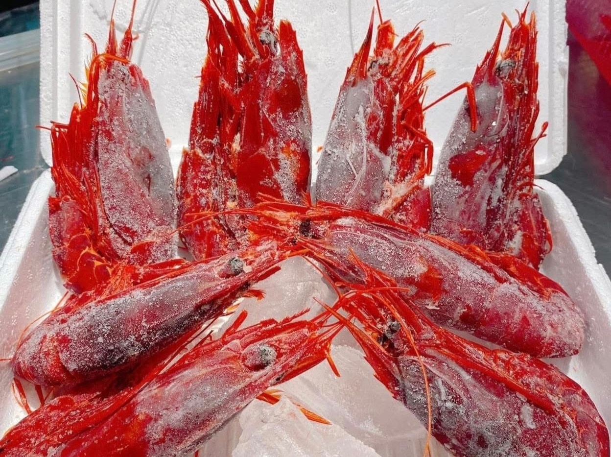 Tom quy do dat nhat the gioi do bo cho Tet, gia gan 5 trieu dong/kg hinh anh