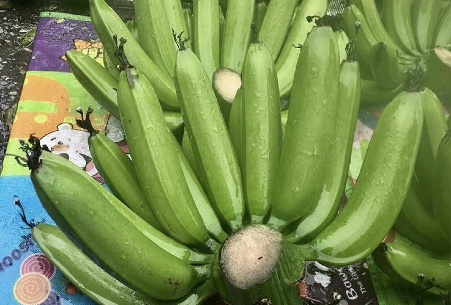 Cho Tet 'het gia' chuoi xanh nua trieu dong mot nai hinh anh