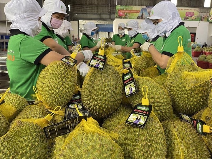 Vi sao gia sau rieng sau Tet re giat minh? hinh anh