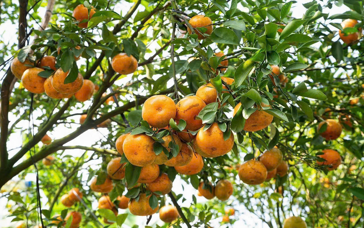 du lich sinh thai anh 3