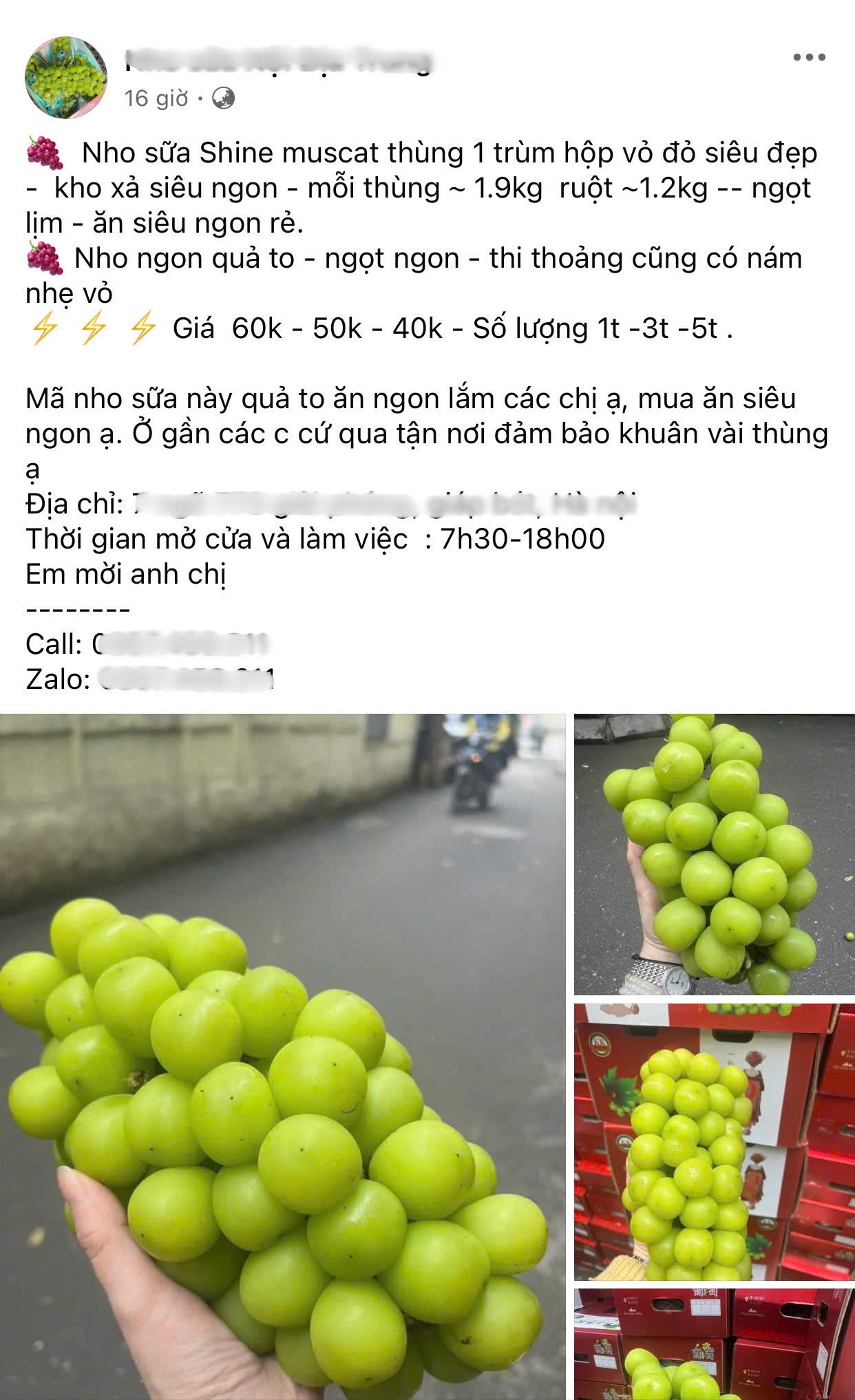 nho trung quoc anh 1