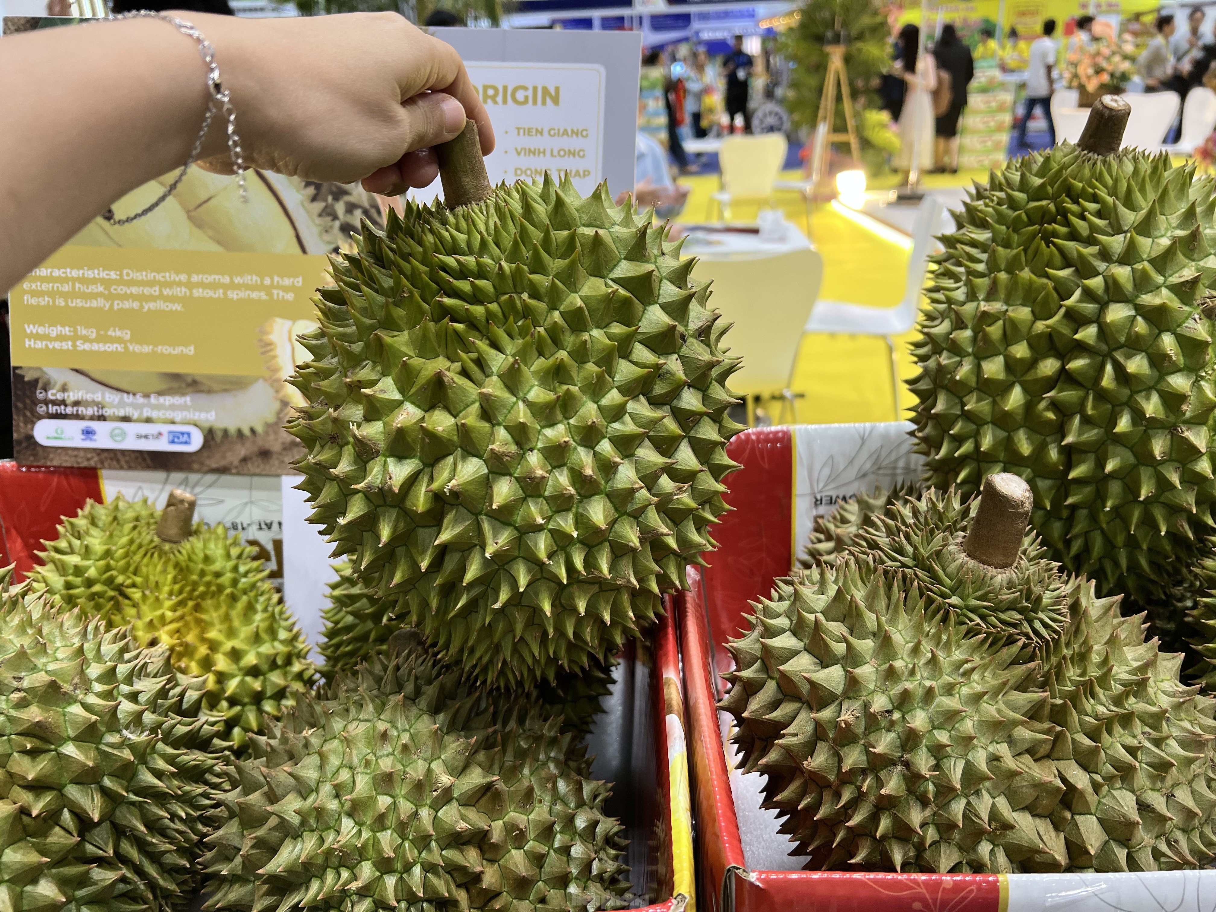 chanh leo,  chanh day anh 5