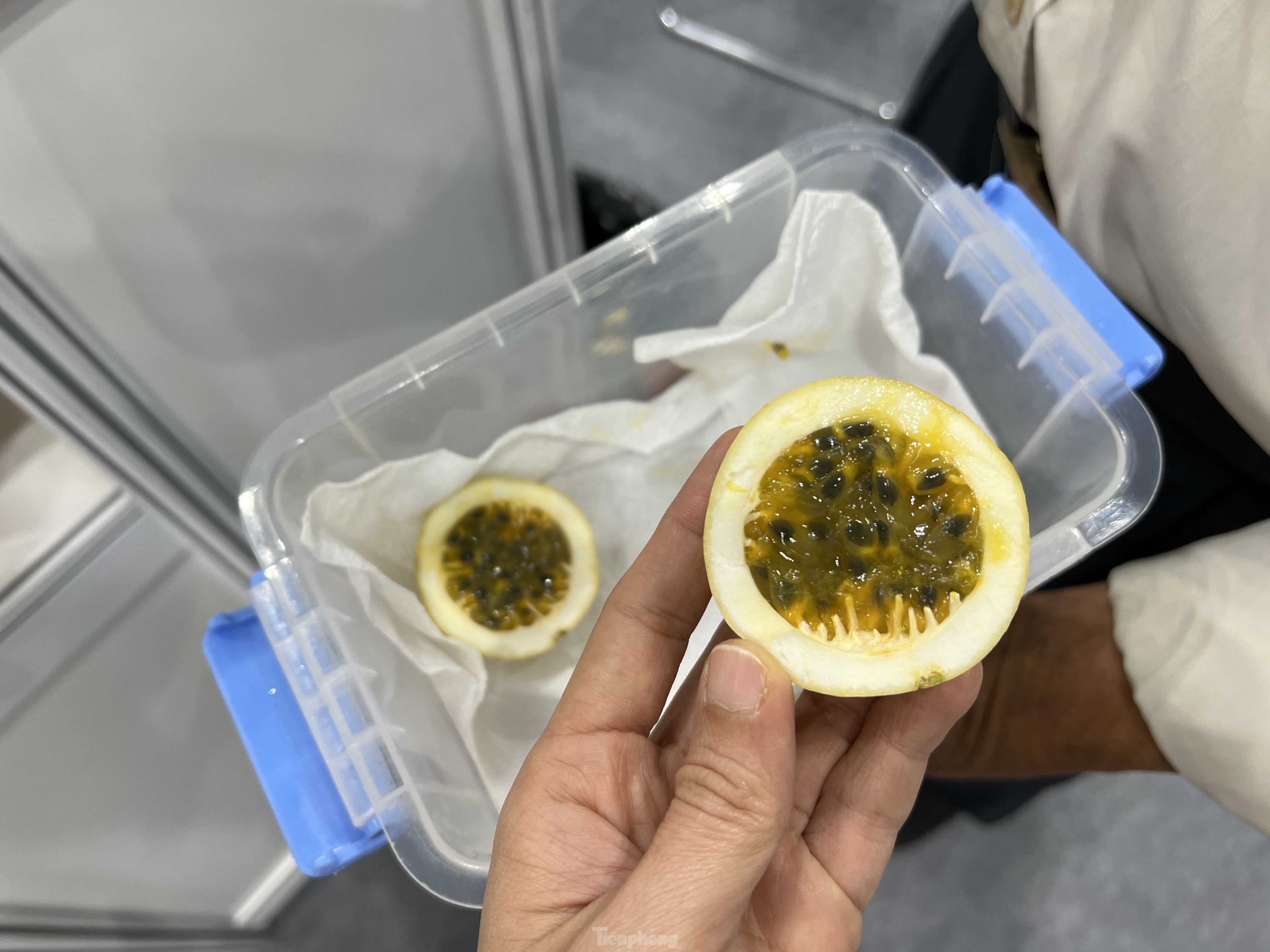 chanh leo,  chanh day anh 2